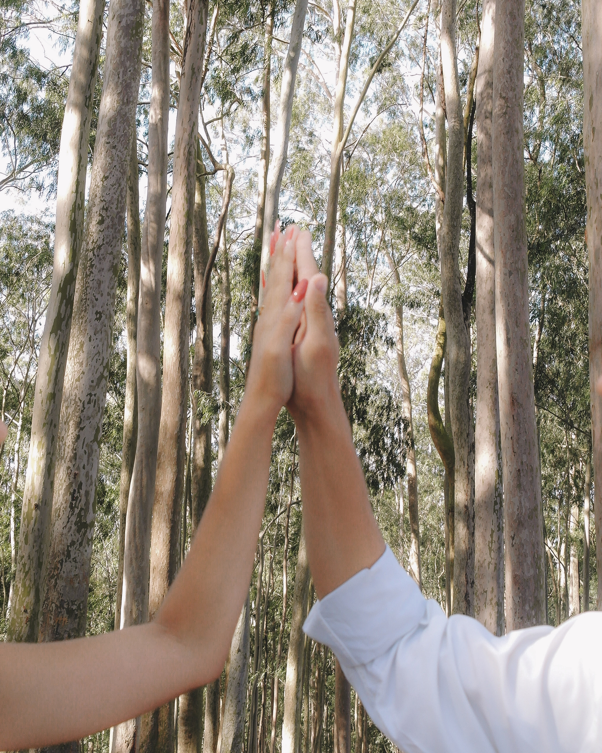 mãos juntas casal Rj