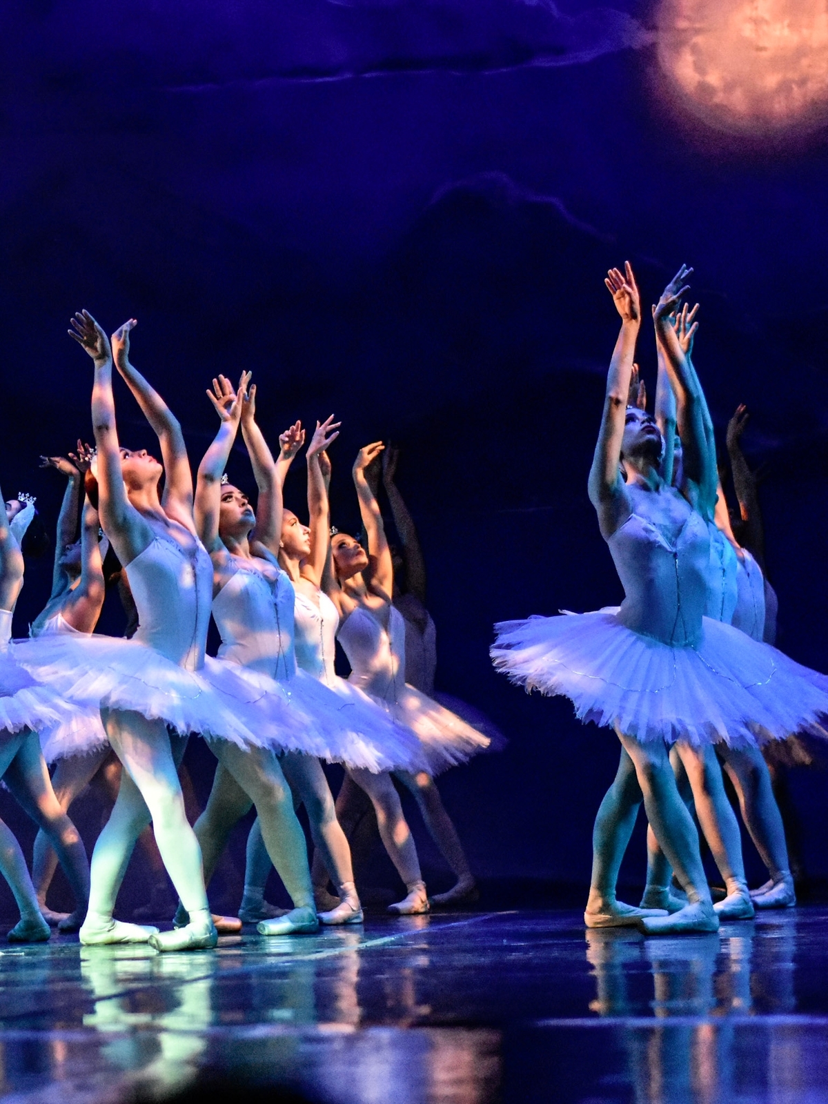 Ballet, Bailarines, tutu blanco,lago de los cisnes fotografía de danza