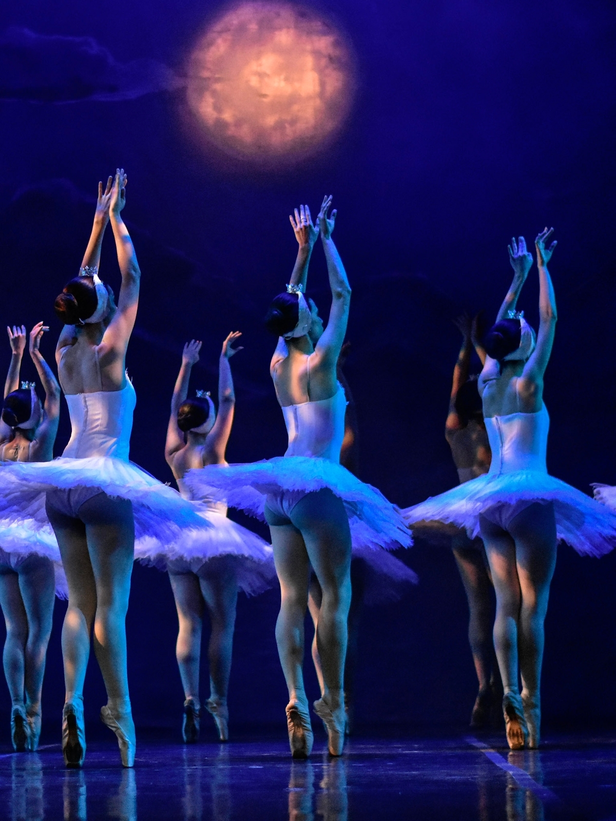 Ballet, Bailarines, tutu blanco,lago de los cisnes  torso