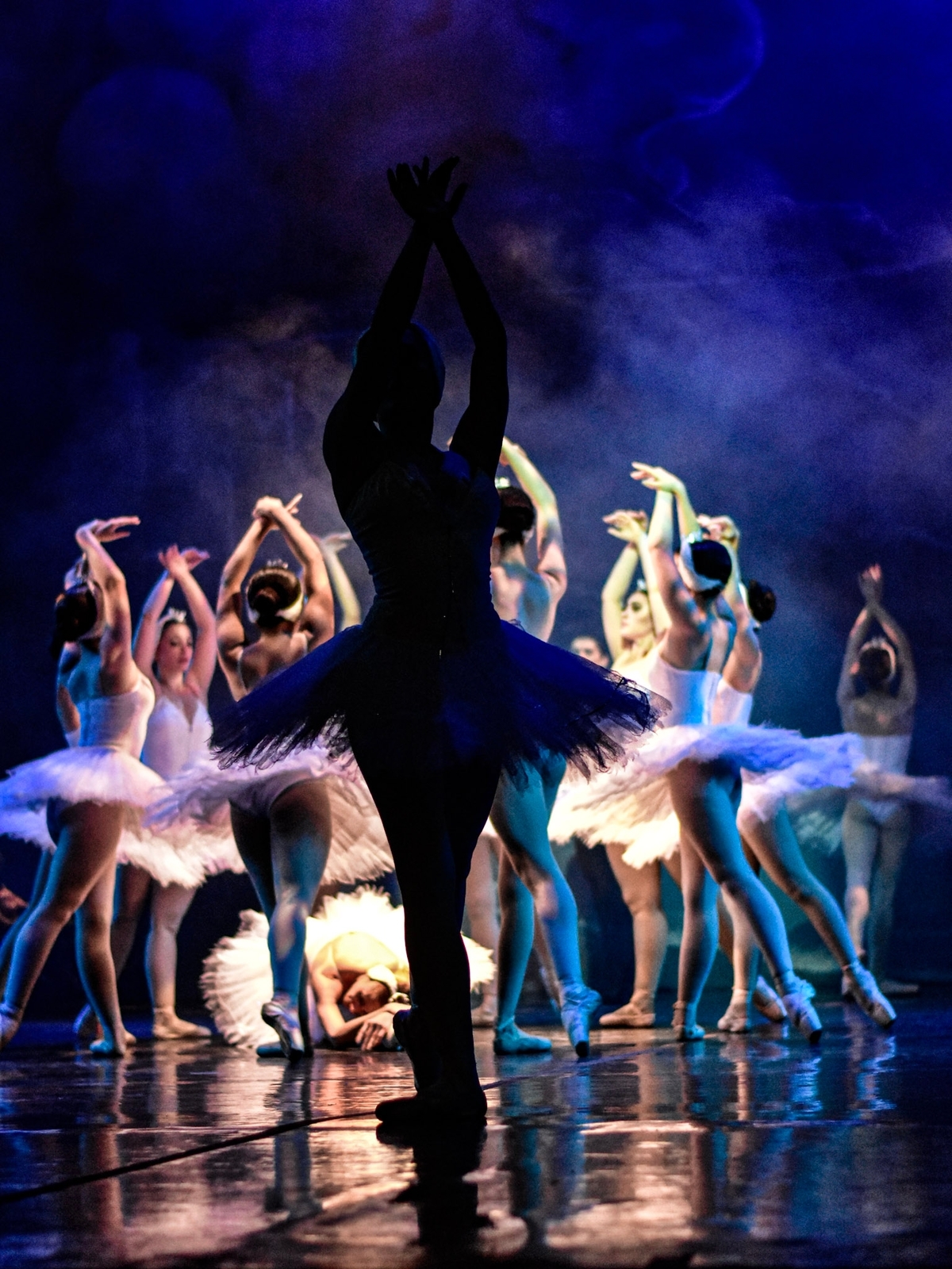 Ballet, Bailarines, tutu blanco,lago de los cisnes ,sobra