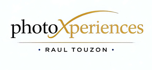 Logotipo de Raul Touzon