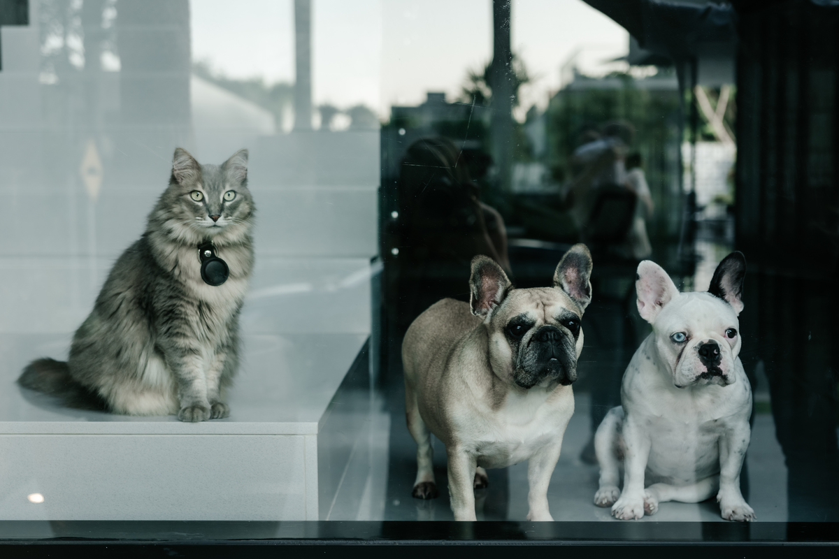 lifestyle, ensaio lifestyle, acompanhamento lifestyle, acompanhamento fotográfico de bebês, acompanhamento quadrimestral, fotos de bebê, ensaio de família, fotos de família, melhor fotógrafa newborn do Rio, melhor fotógrafa de bebês, rita kessler