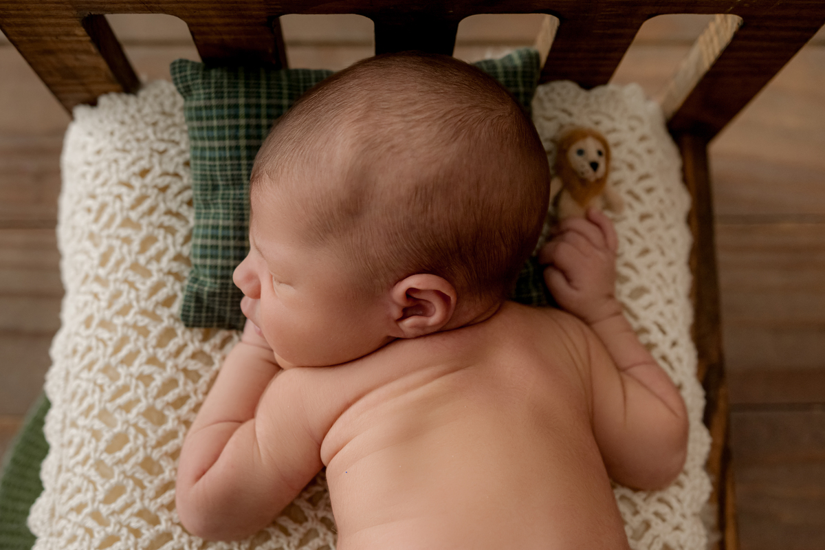 foto newborn, fotografia newborn, newborn, newborn barra da tijuca, foto de bebê, recém-nascidos, melhor fotógrafa newborn, best newborn photographer in Rio, ensaio newborn, foto newborn em estúdio, estúdio newborn barra da tijuca, perinatal, rita kessler