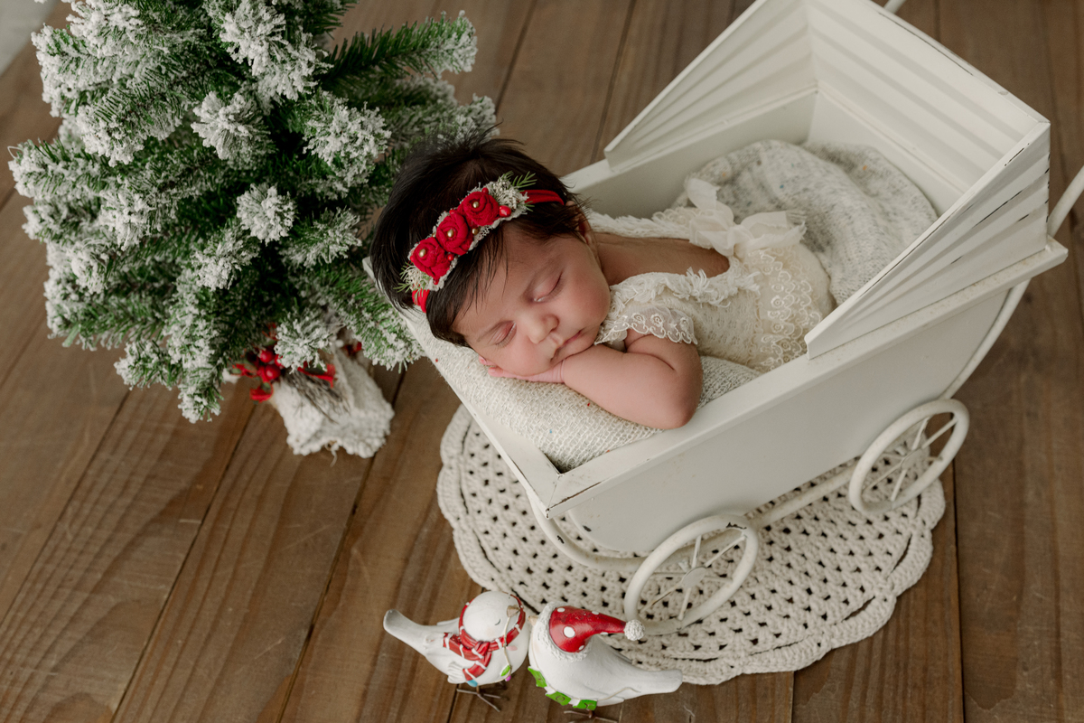 newborn, newborn barra, newborn barra da tijuca, newborn rio de janeiro, fotografia newborn, ensaio newborn, foto de recém-nascido, recém-nascido, fotógrafa newborn, foto de bebê, ensaio infantil, estúdio newborn,, newborn rj, newborn rio, foto newborn