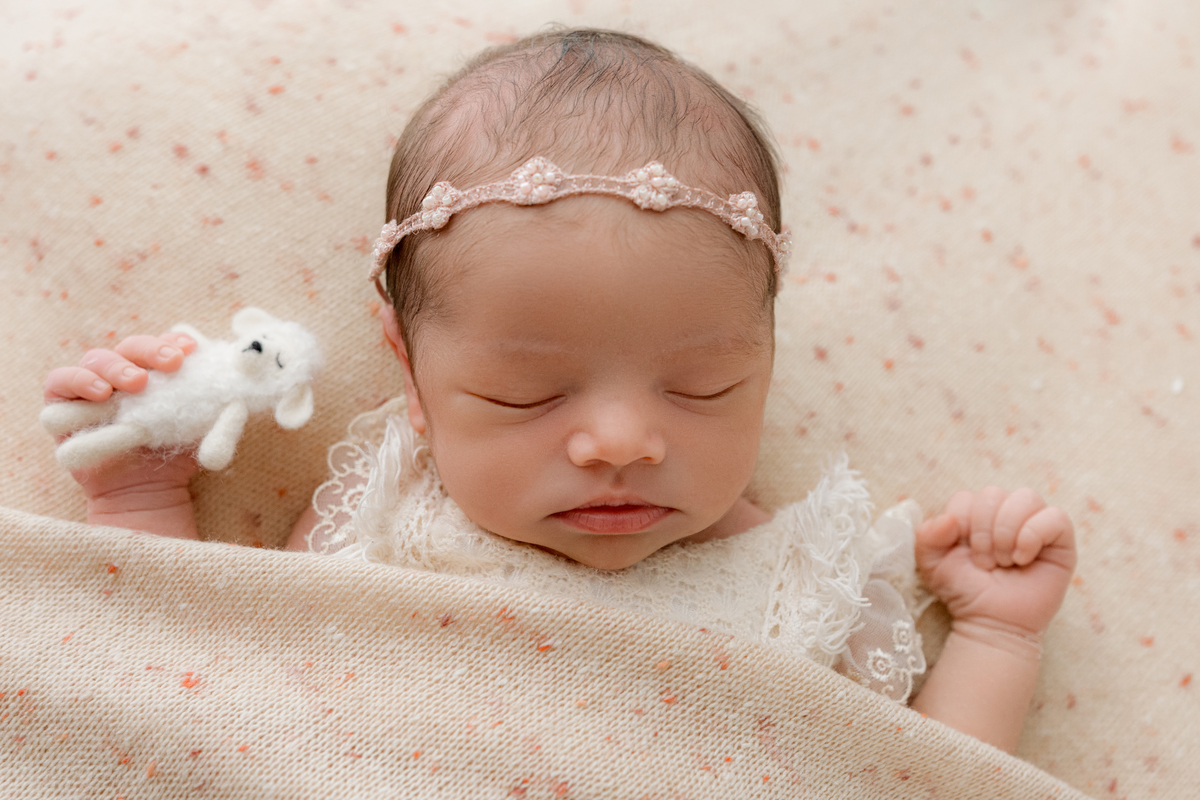newborn, newborn barra, newborn barra da tijuca, newborn rj, newborn rio de janeiro, fotografia newborn, foto newborn, recém-nascido, book de bebê, ensaio infantil, estúdio newborn, melhor fotógrafa newborn, fotógrafa de bebês, encantadora de bebês, bebês
