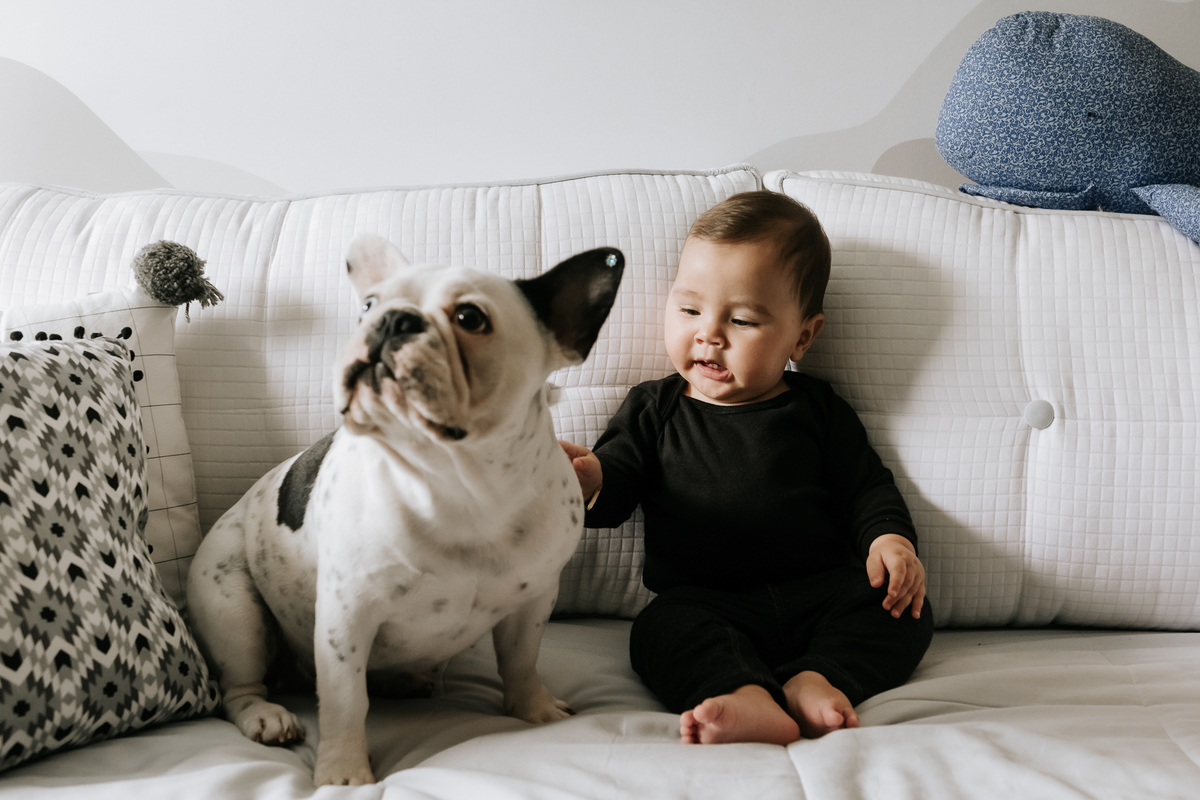 lifestyle, lifestyle barra da tijuca, acompanhamento de bebê, acompanhamento de bebê em casa, acompanhamento quadrimestral de bebê, acompanhamento quadrimestral lifestyle, fotos de bebê em casa, ensaio de família em casa, ensaio de família barra da tijuca