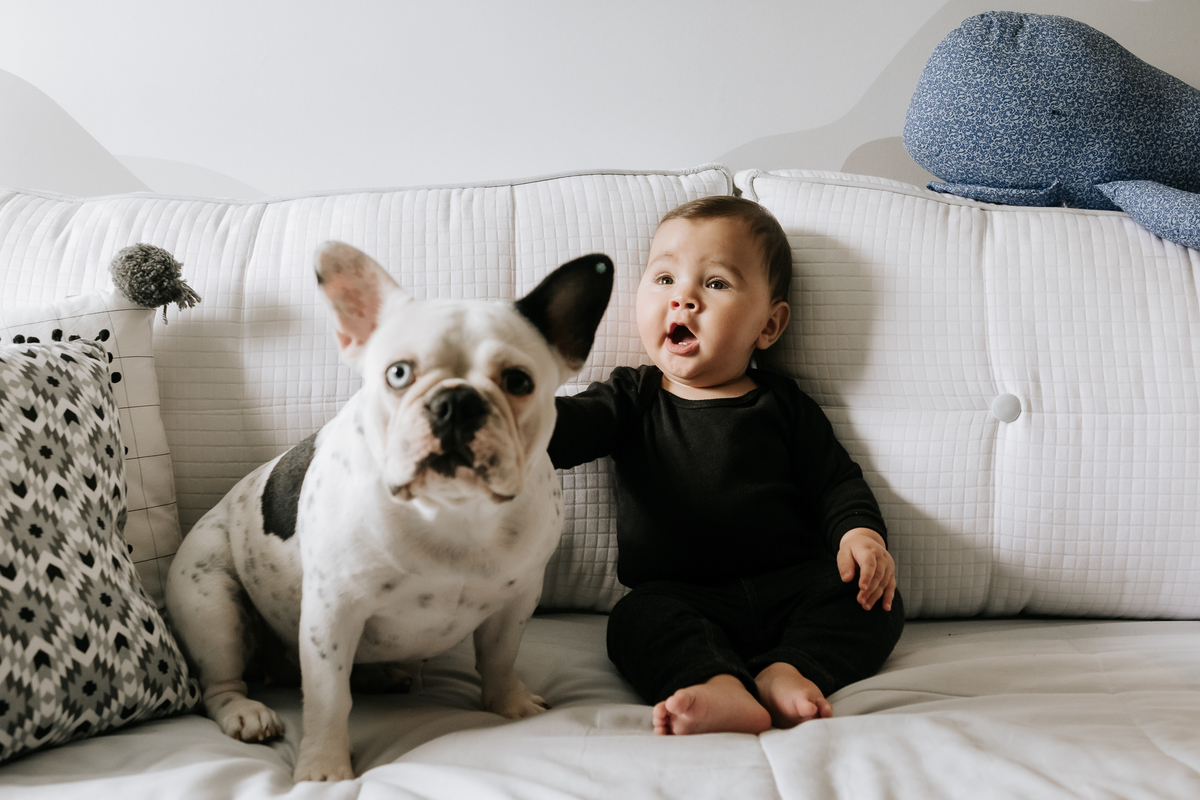 lifestyle, lifestyle barra da tijuca, acompanhamento de bebê, acompanhamento de bebê em casa, acompanhamento quadrimestral de bebê, acompanhamento quadrimestral lifestyle, fotos de bebê em casa, ensaio de família em casa, ensaio de família barra da tijuca