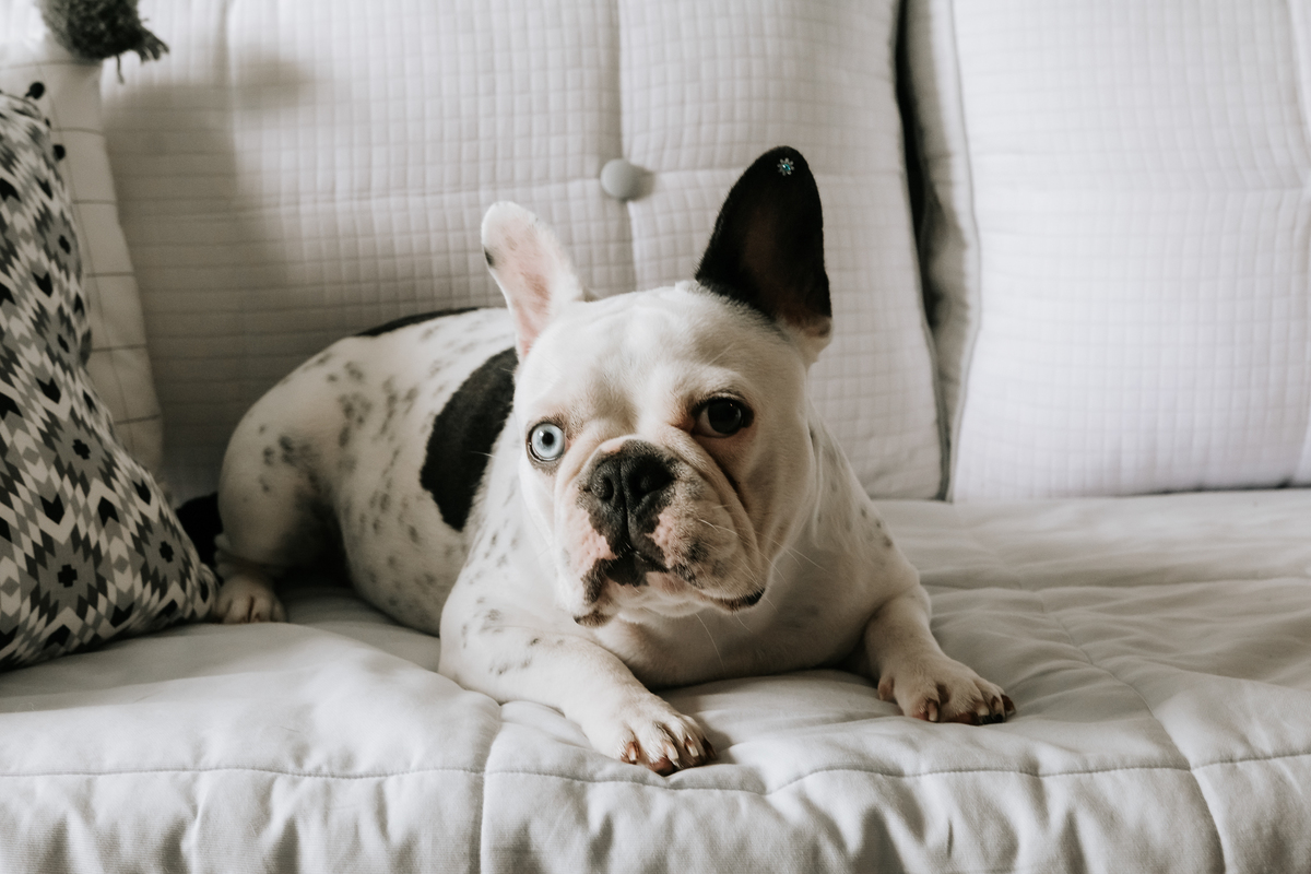 lifestyle, lifestyle barra da tijuca, acompanhamento de bebê, acompanhamento de bebê em casa, acompanhamento quadrimestral de bebê, acompanhamento quadrimestral lifestyle, fotos de bebê em casa, ensaio de família em casa, ensaio de família barra da tijuca