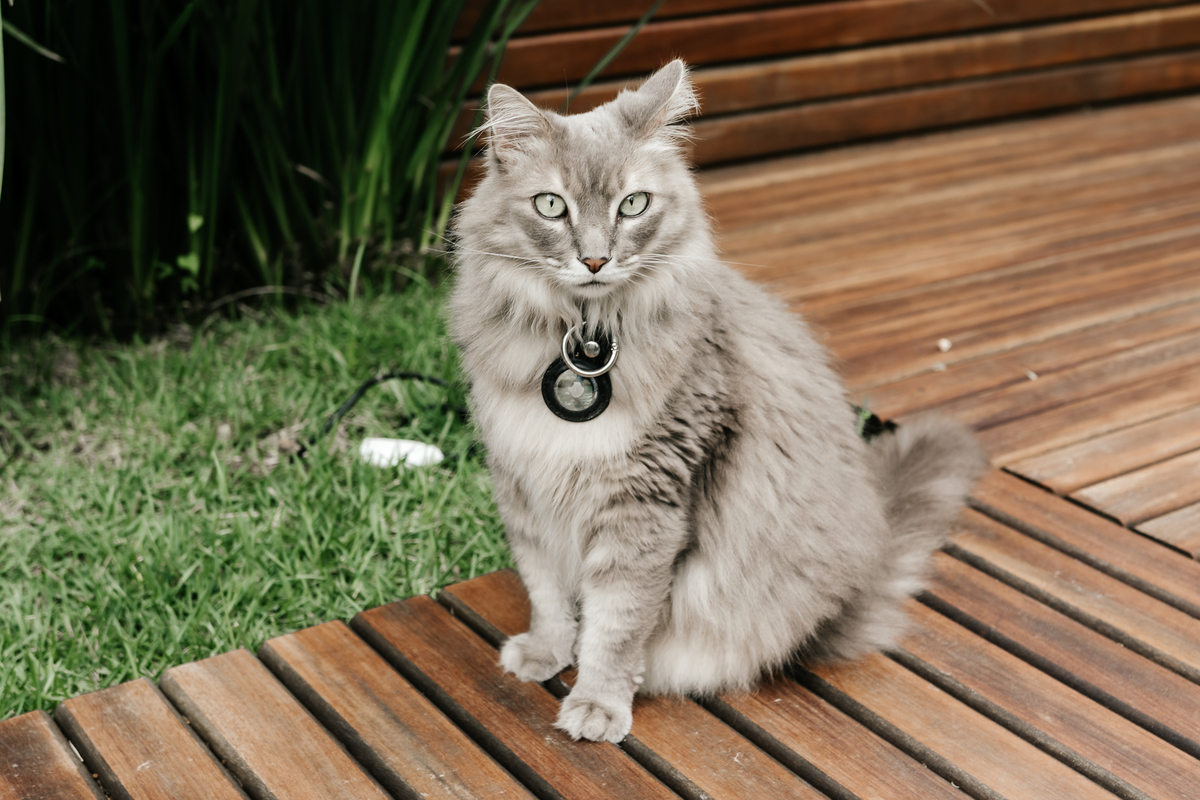 lifestyle, lifestyle barra da tijuca, acompanhamento de bebê, acompanhamento de bebê em casa, acompanhamento quadrimestral de bebê, acompanhamento quadrimestral lifestyle, fotos de bebê em casa, ensaio de família em casa, ensaio de família barra da tijuca