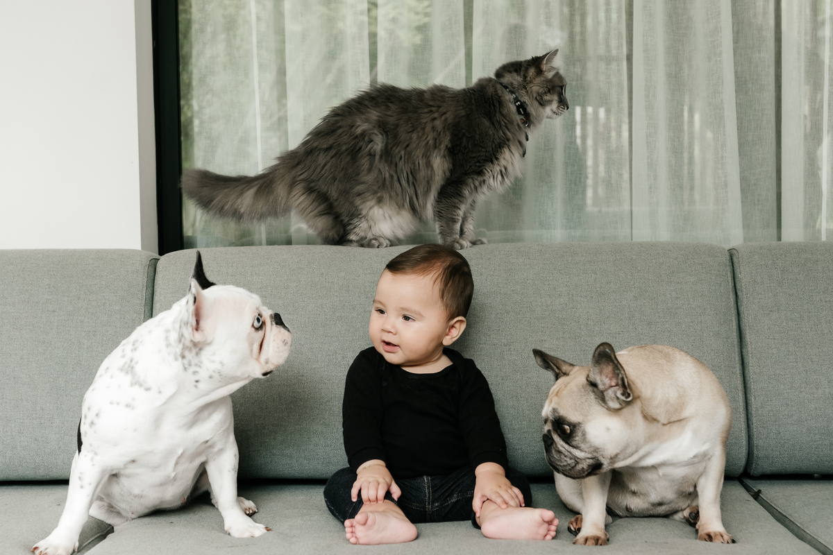 lifestyle, lifestyle barra da tijuca, acompanhamento de bebê, acompanhamento de bebê em casa, acompanhamento quadrimestral de bebê, acompanhamento quadrimestral lifestyle, fotos de bebê em casa, ensaio de família em casa, ensaio de família barra da tijuca