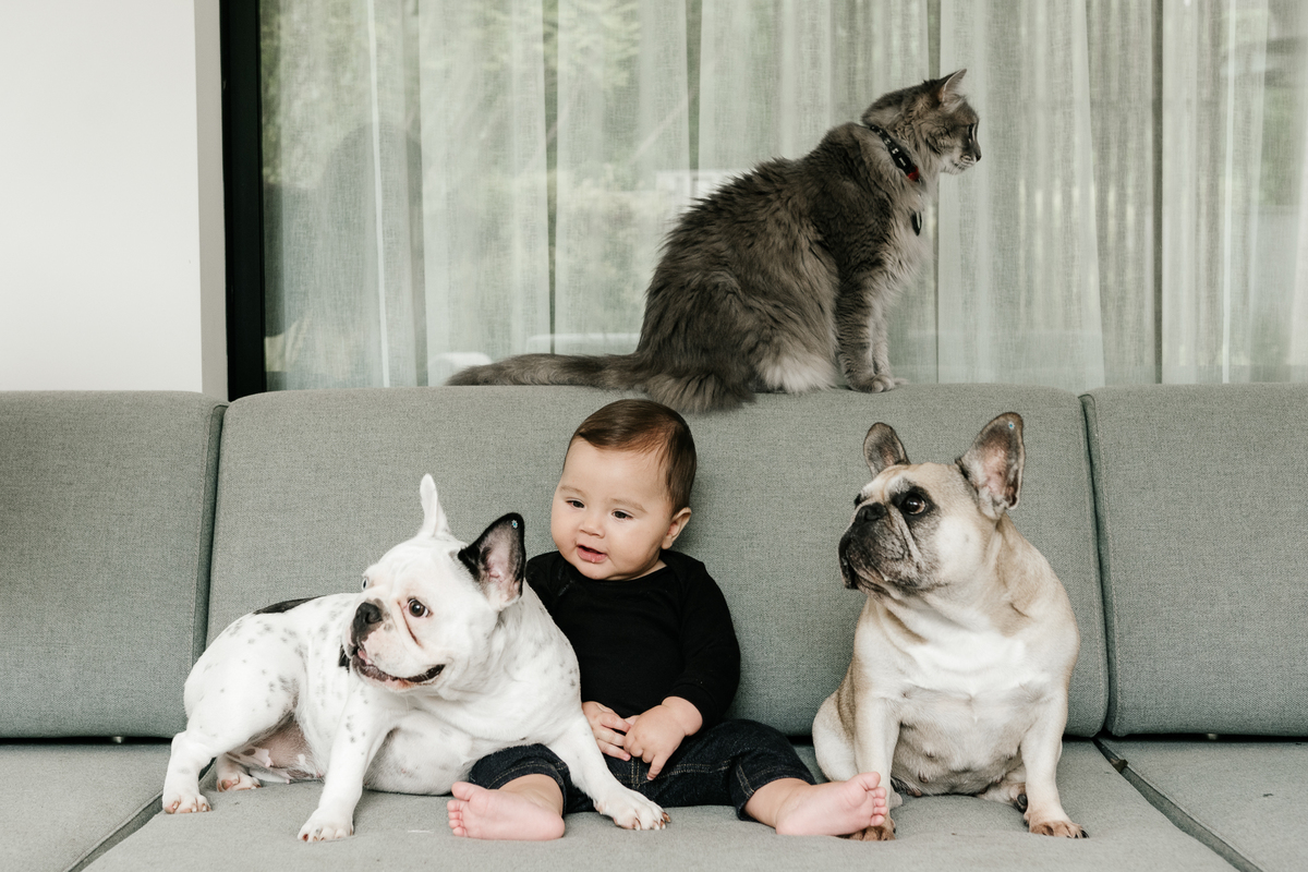 lifestyle, lifestyle barra da tijuca, acompanhamento de bebê, acompanhamento de bebê em casa, acompanhamento quadrimestral de bebê, acompanhamento quadrimestral lifestyle, fotos de bebê em casa, ensaio de família em casa, ensaio de família barra da tijuca