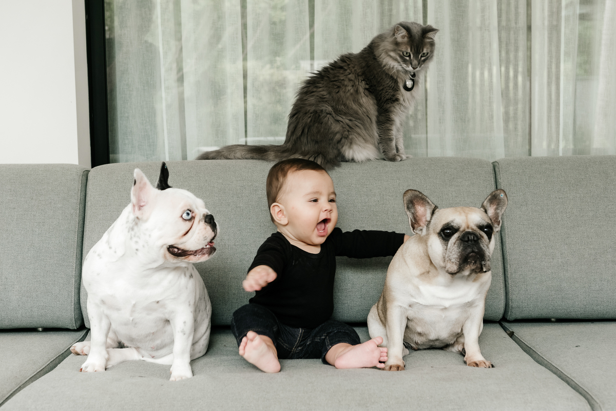 lifestyle, lifestyle barra da tijuca, acompanhamento de bebê, acompanhamento de bebê em casa, acompanhamento quadrimestral de bebê, acompanhamento quadrimestral lifestyle, fotos de bebê em casa, ensaio de família em casa, ensaio de família barra da tijuca