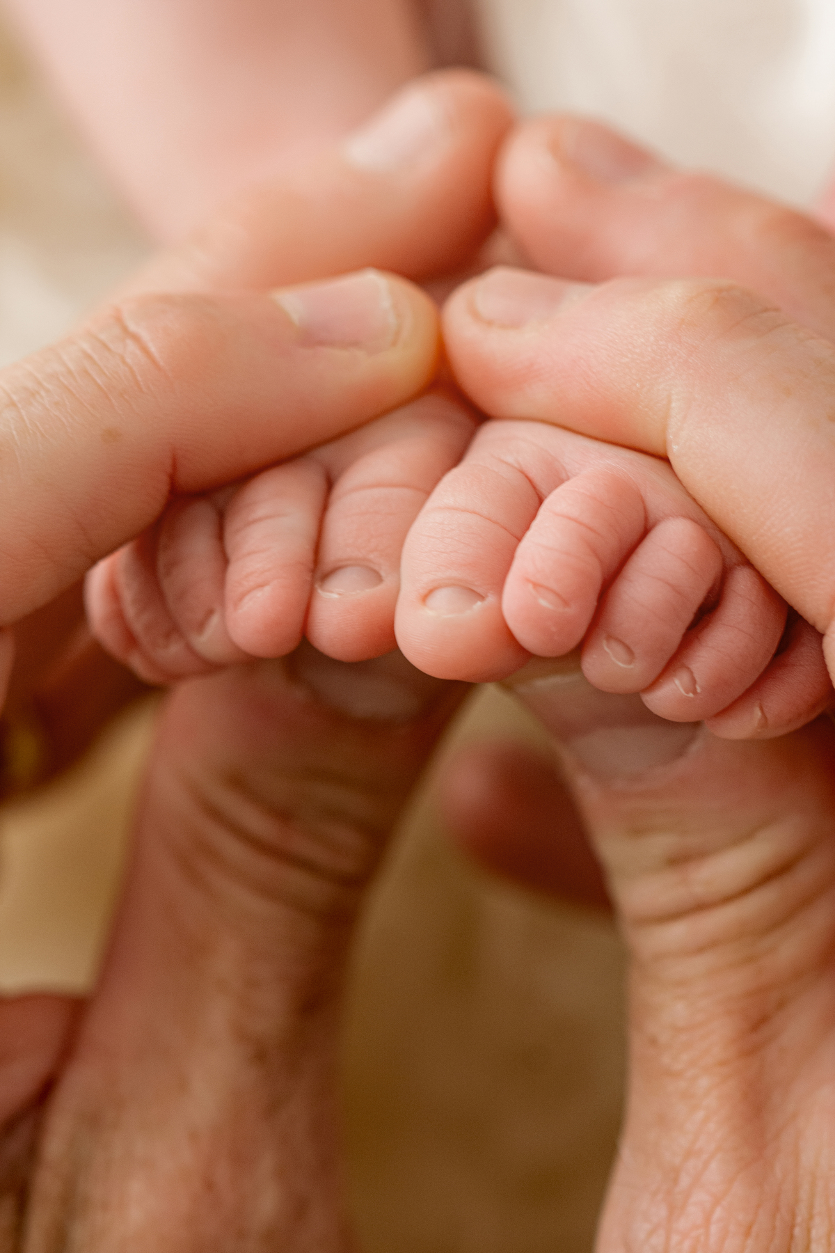 newborn, newborn barra da tijuca, perinatal, maternidade, gestação, chá de bebê, fotografia newborn, melhor fotógrafa newborn, recém-nascido, foto de bebê, ensaio de família, fotos de família, fotos de bebê, fotos de recém-nascidos, newborn RJ