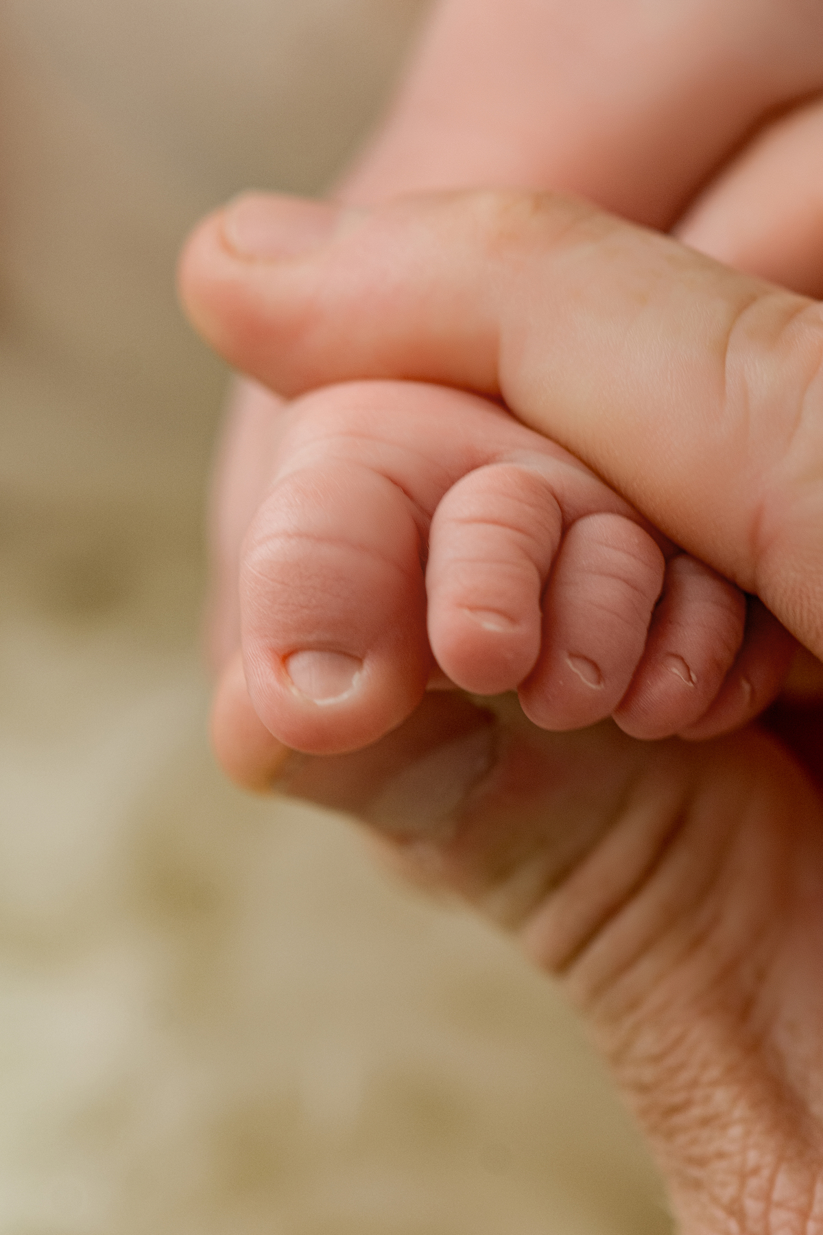 newborn, newborn barra da tijuca, perinatal, maternidade, gestação, chá de bebê, fotografia newborn, melhor fotógrafa newborn, recém-nascido, foto de bebê, ensaio de família, fotos de família, fotos de bebê, fotos de recém-nascidos, newborn RJ