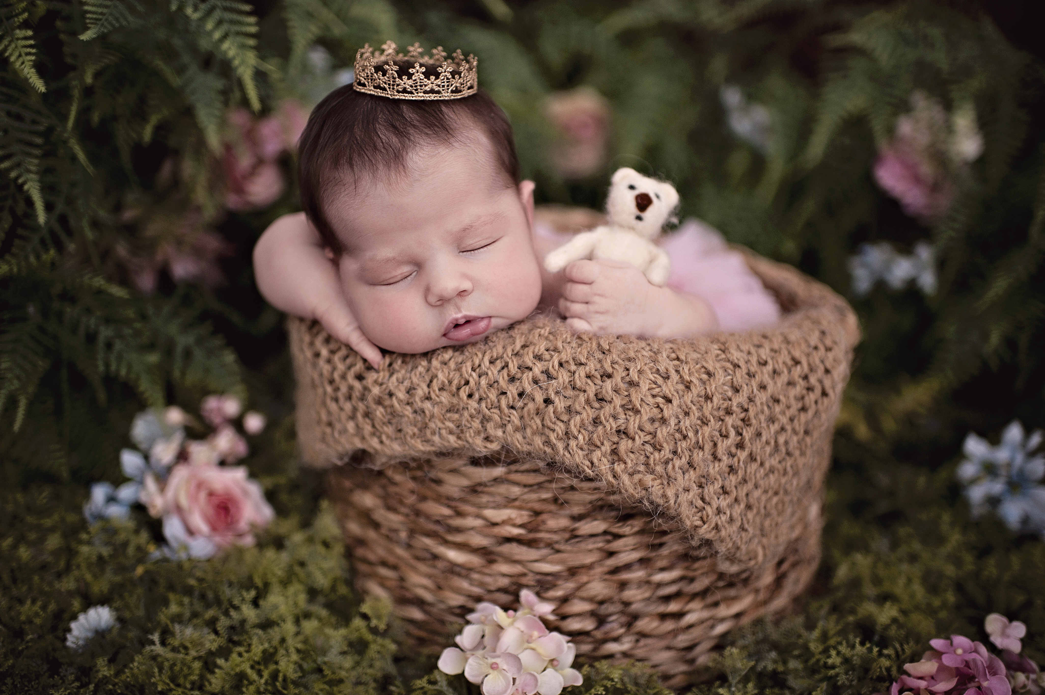 Ensaio newborn foto de bebê estúdio meu sonho Ensaio infantil Barra da Tijuca Rio de Janeiro