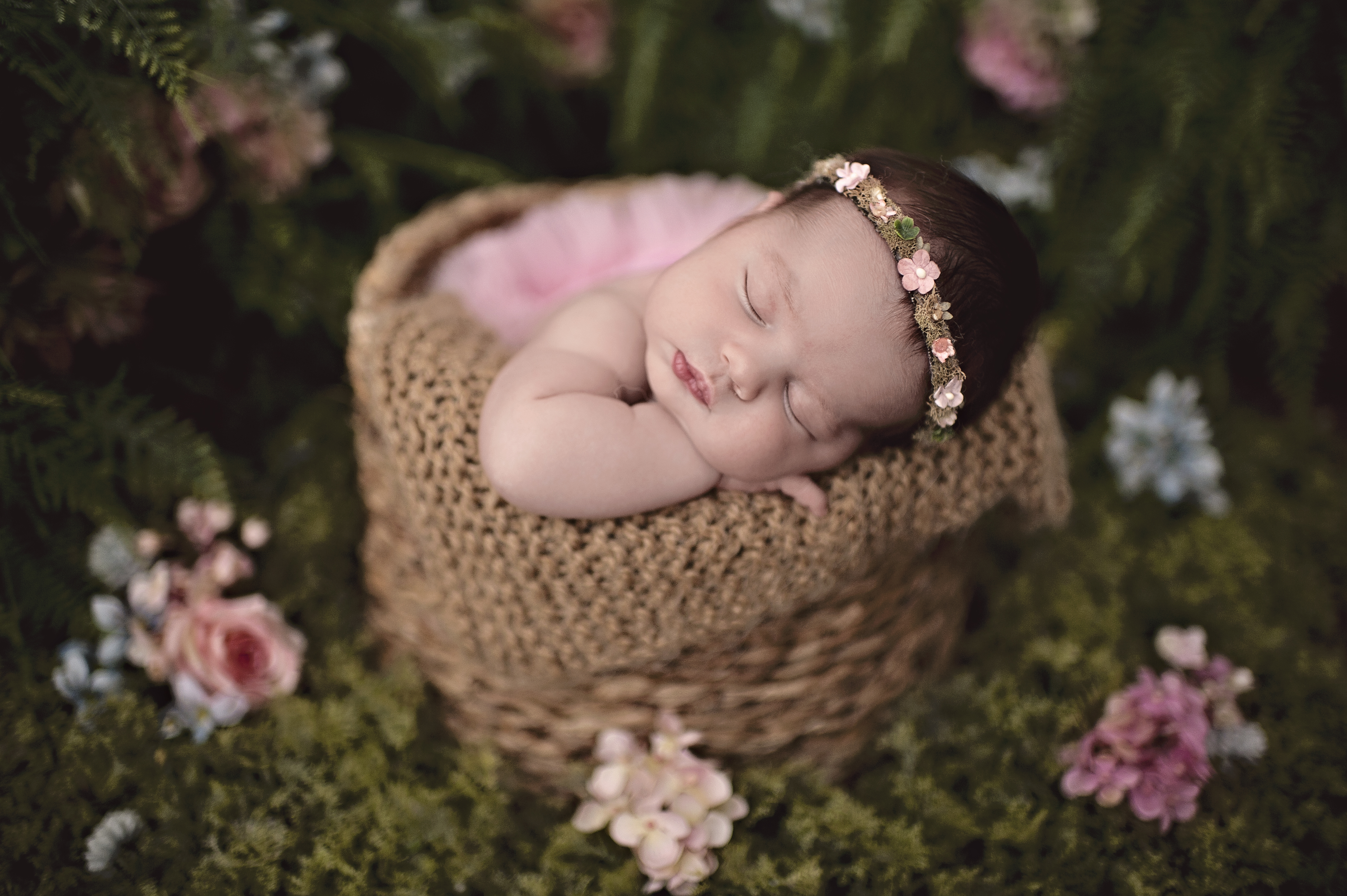 Ensaio newborn foto de bebê estúdio meu sonho Ensaio infantil Barra da Tijuca Rio de Janeiro