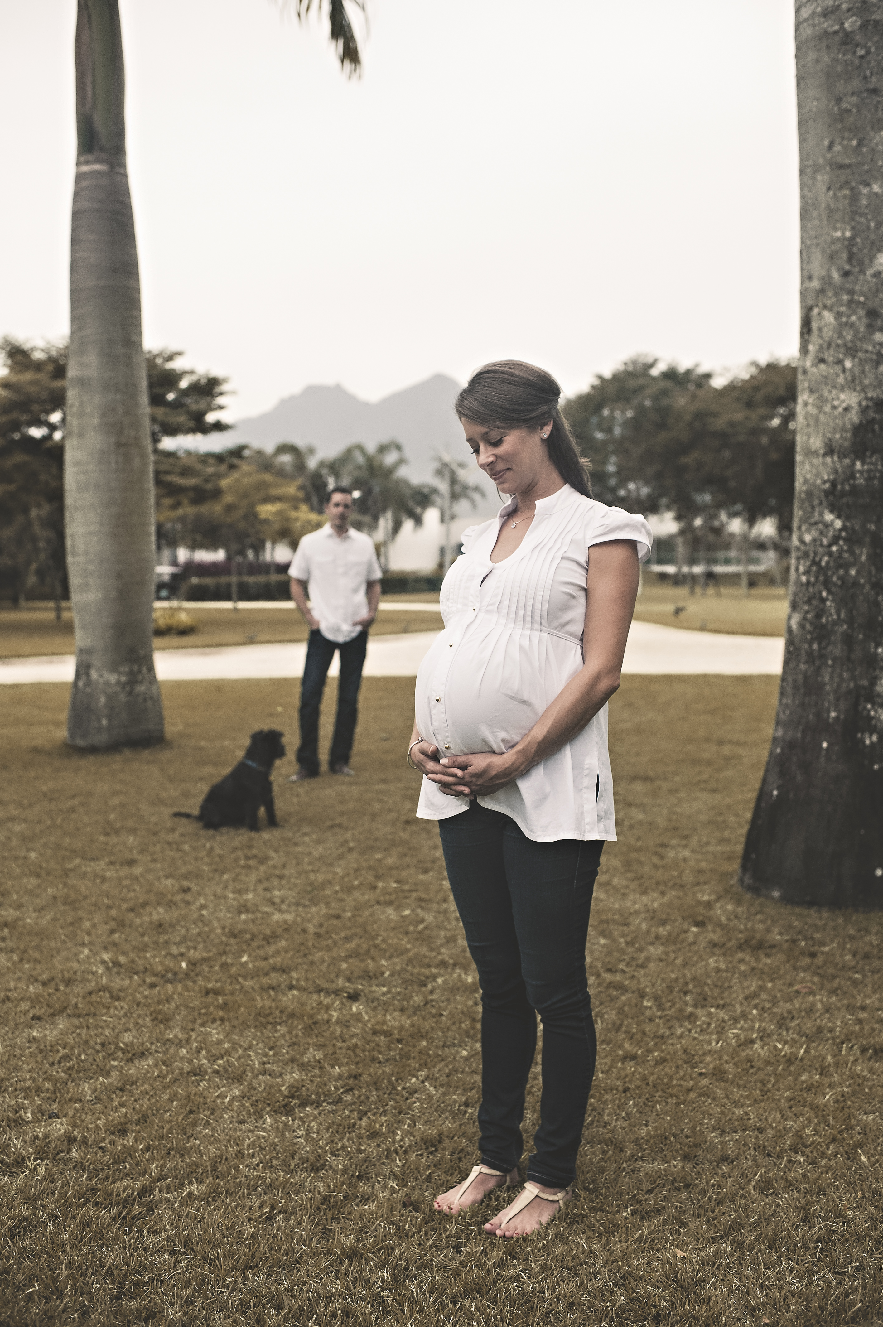 Família com cachorro ensaio de gestante externo com pet