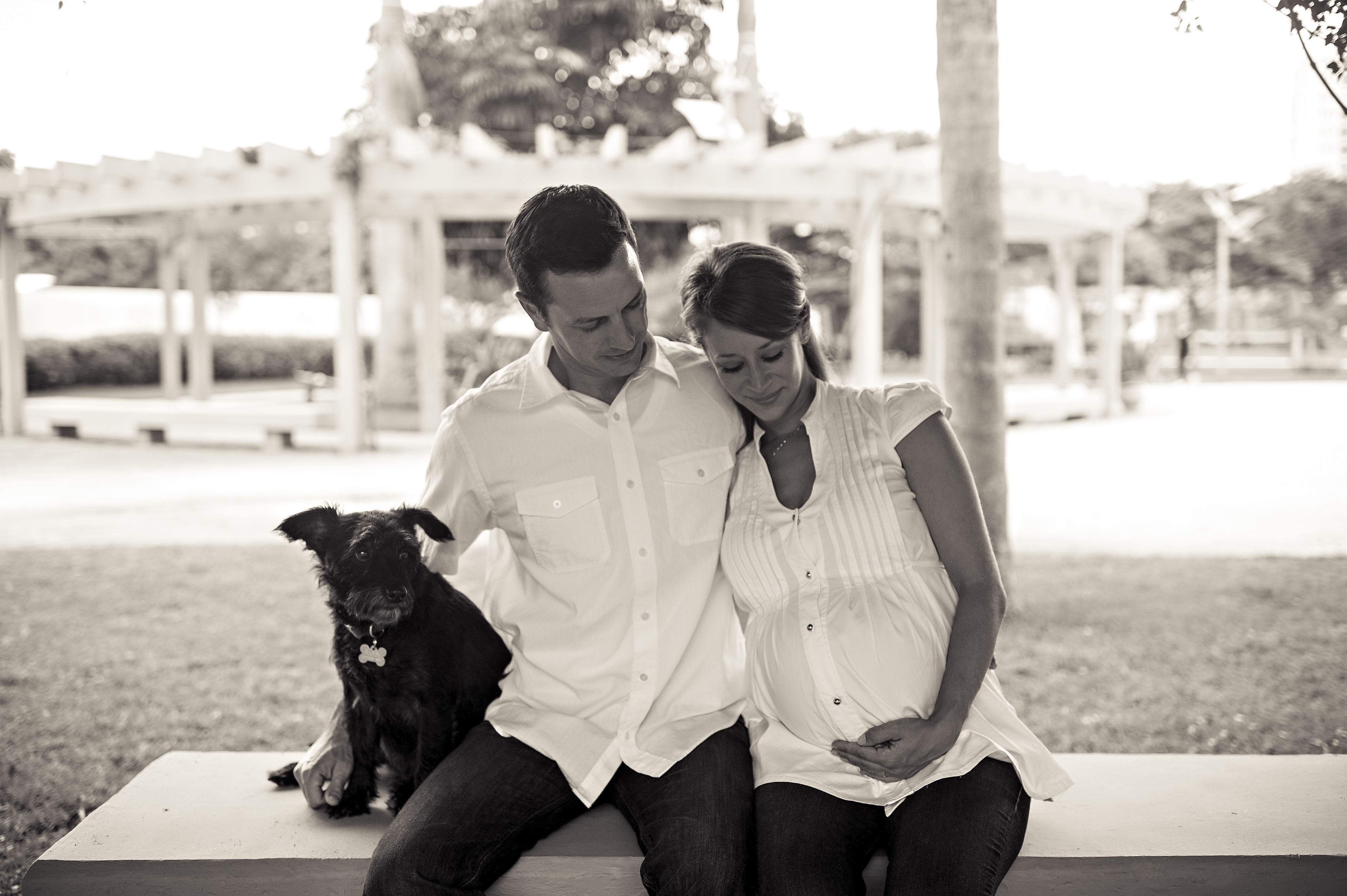 Família com cachorro ensaio de gestante externo com pet