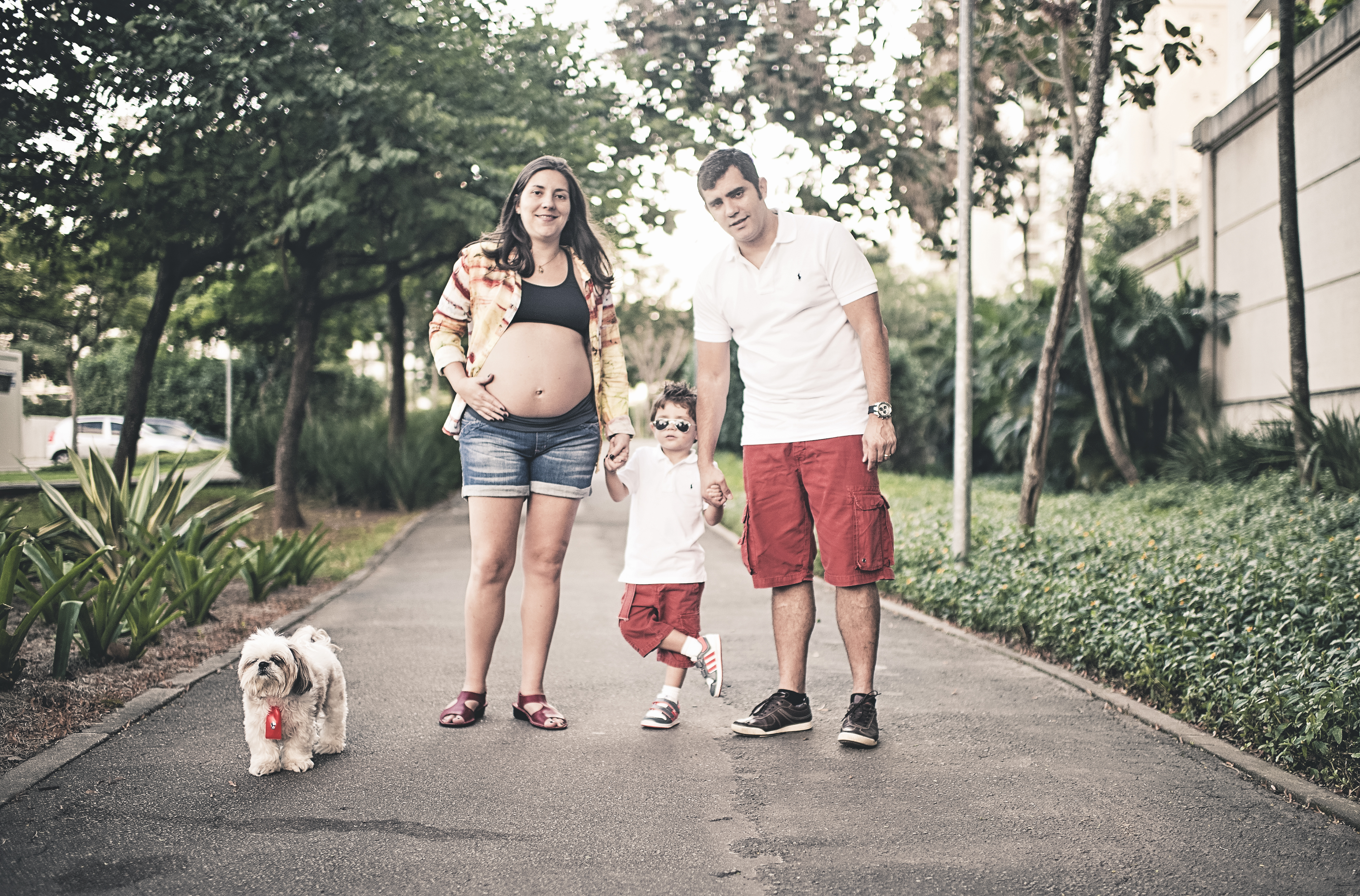 Ensaio de gestante ensaio de família com cachorro pet foto de gestante 