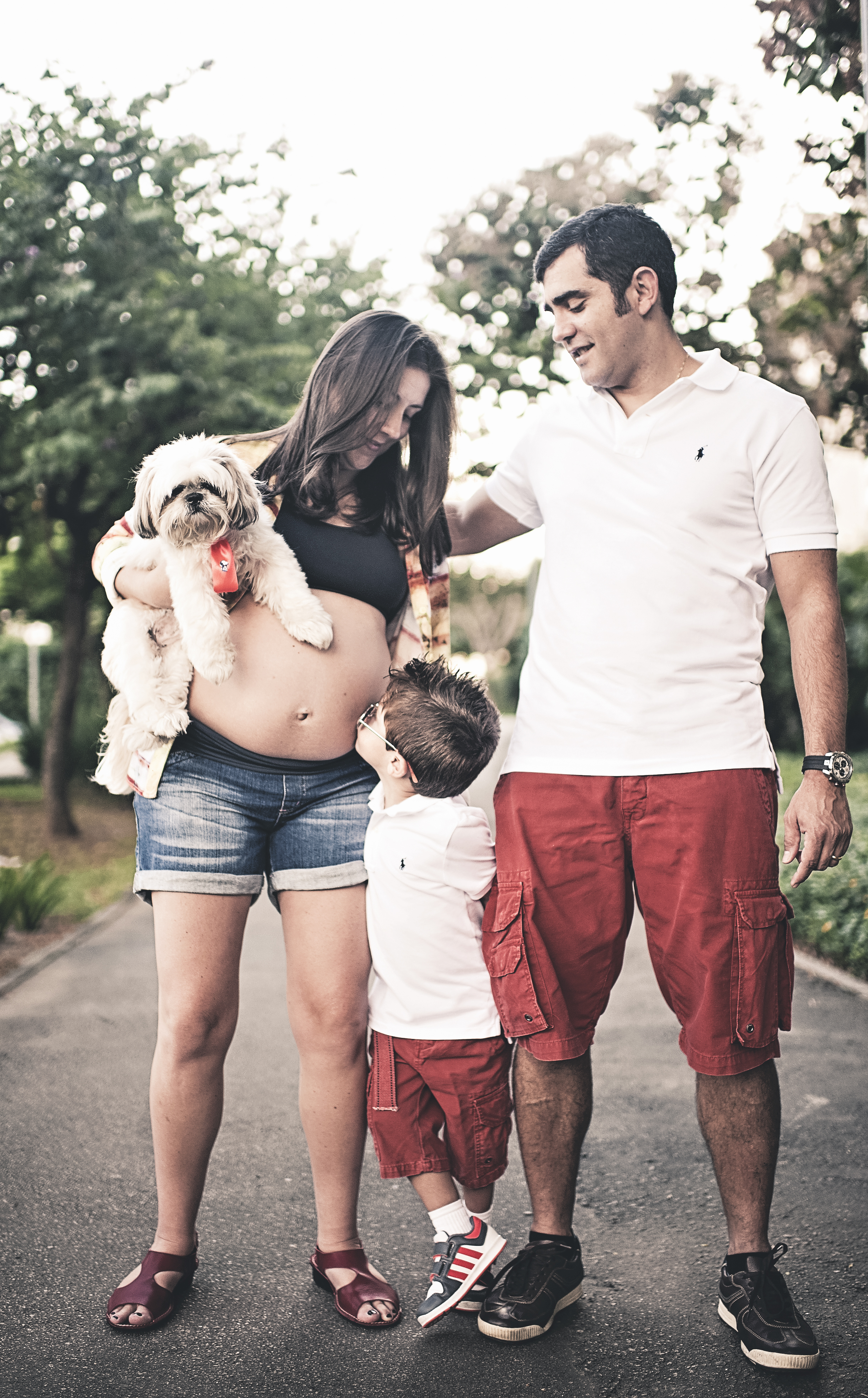 Ensaio de gestante ensaio de família com cachorro pet foto de gestante 