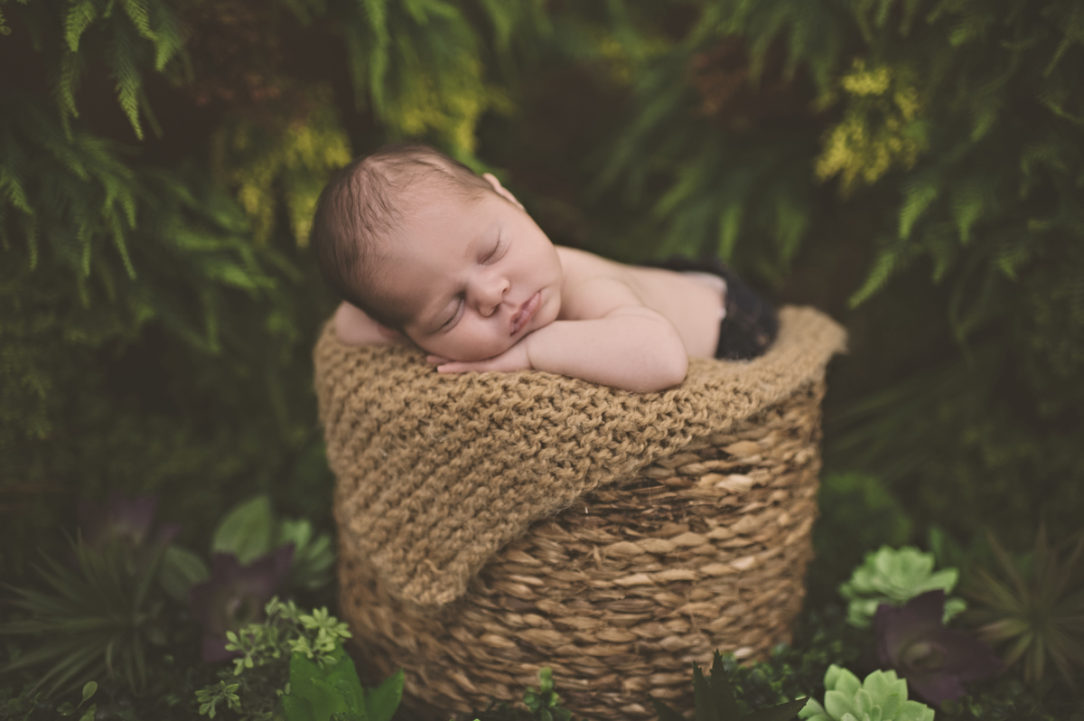 nascido, fotografia de recém-nascido, barra da tijuca, rio de janeiro, recreio dos bandeirantes