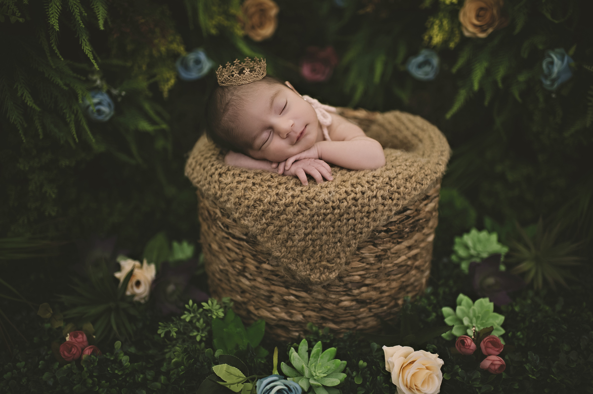 jardim secreto, newborn no jardim, fotografia newborn, ensaio newborn na barra da tijuca, estúdio meu sonho, fotografia de bebê