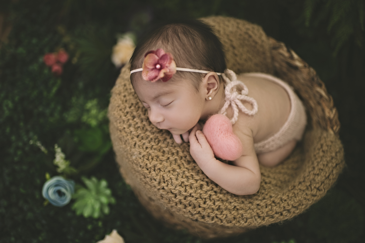 jardim secreto, newborn no jardim, fotografia newborn, ensaio newborn na barra da tijuca, estúdio meu sonho, fotografia de bebê, rita rodrigues fotografia