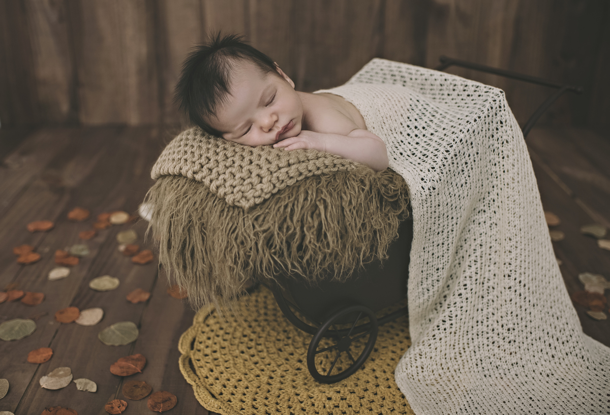 tijuca, rio de janeiro, bebê, newborn, recém-nascido, ensaio newborn