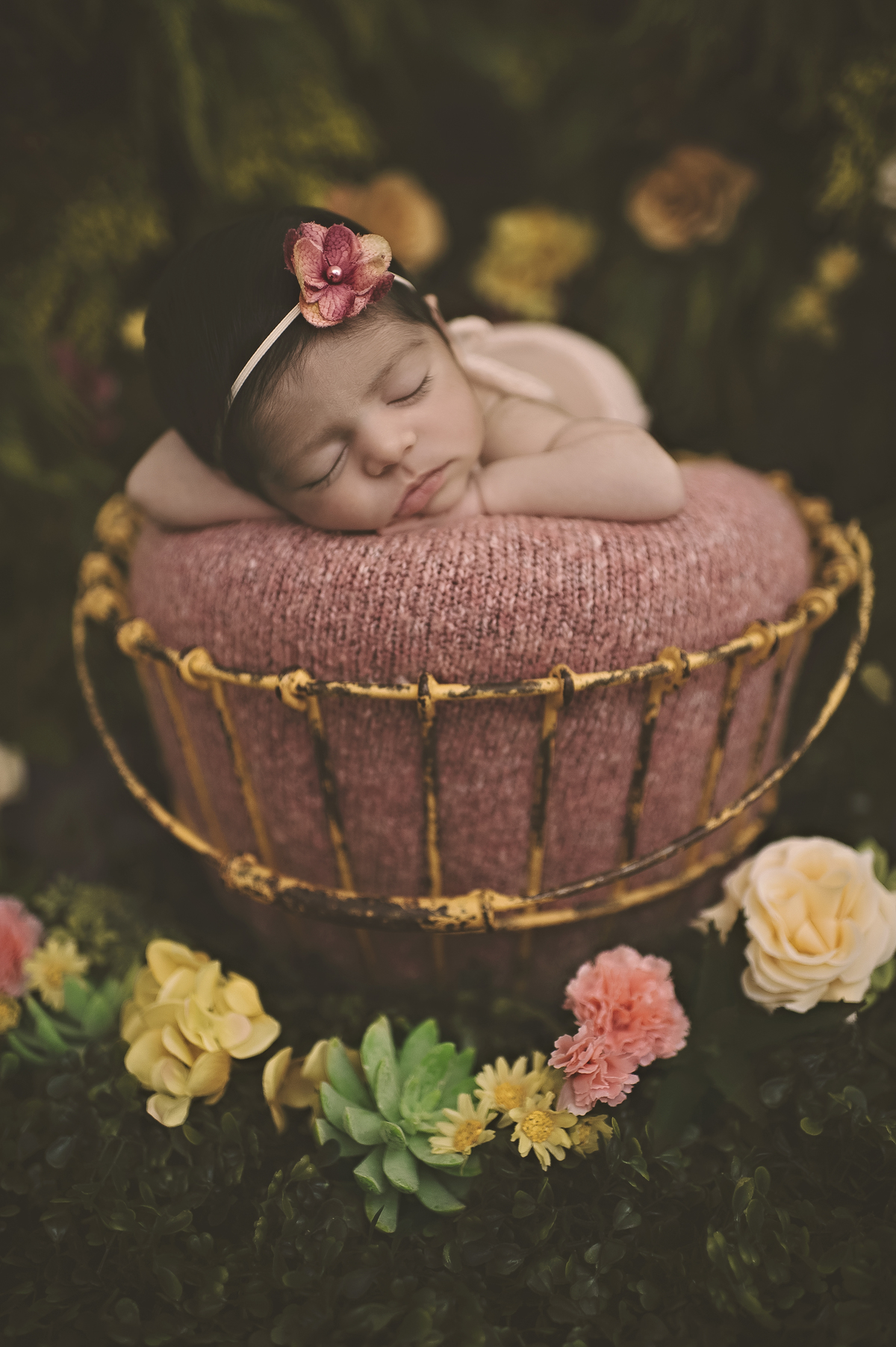 jardim personalizado, newborn, ensaio newborn, foto de bebê, barra da tijuca, barra tower offices, fotografia de bebês, estúdio fotográfico na barra