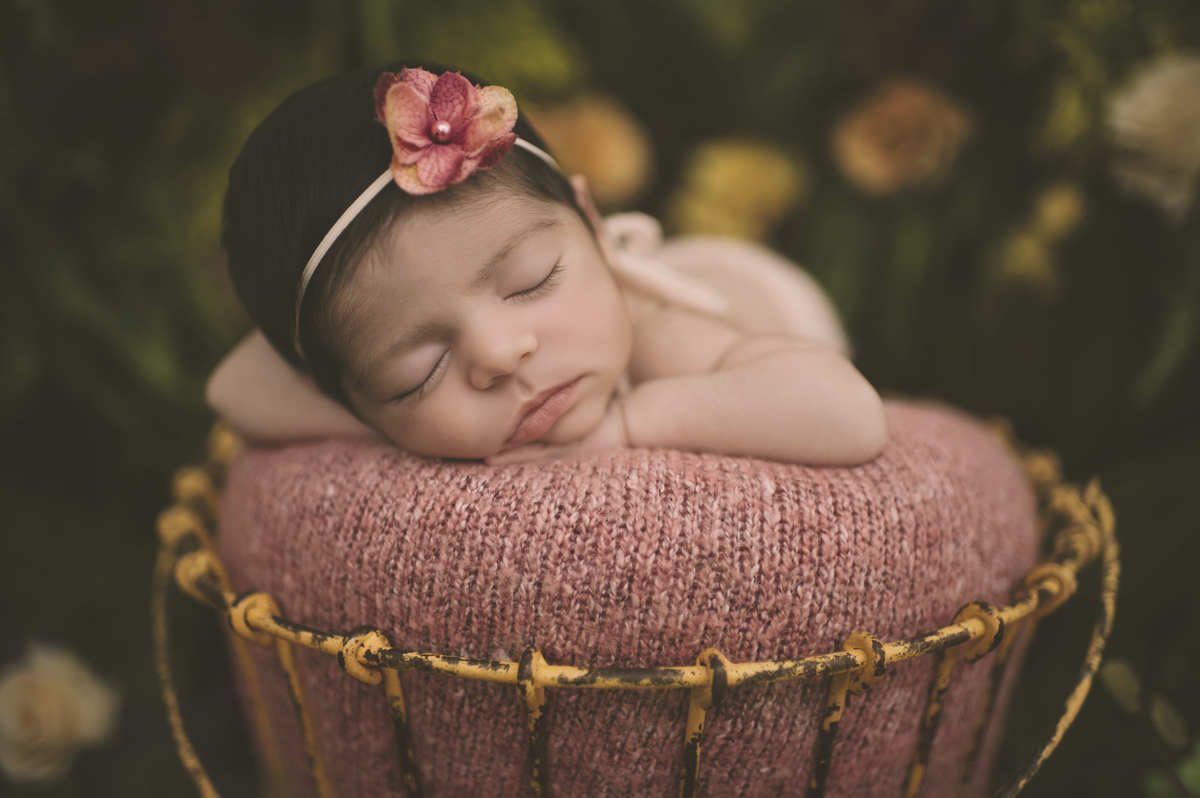 jardim personalizado, newborn, ensaio newborn, foto de bebê, barra da tijuca, barra tower offices, fotografia de bebês, estúdio fotográfico na barra