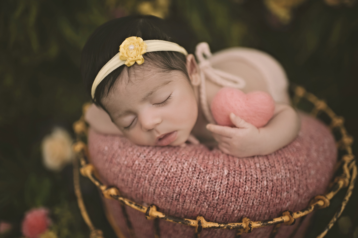 jardim personalizado, newborn, ensaio newborn, foto de bebê, barra da tijuca, barra tower offices, fotografia de bebês, estúdio fotográfico na barra