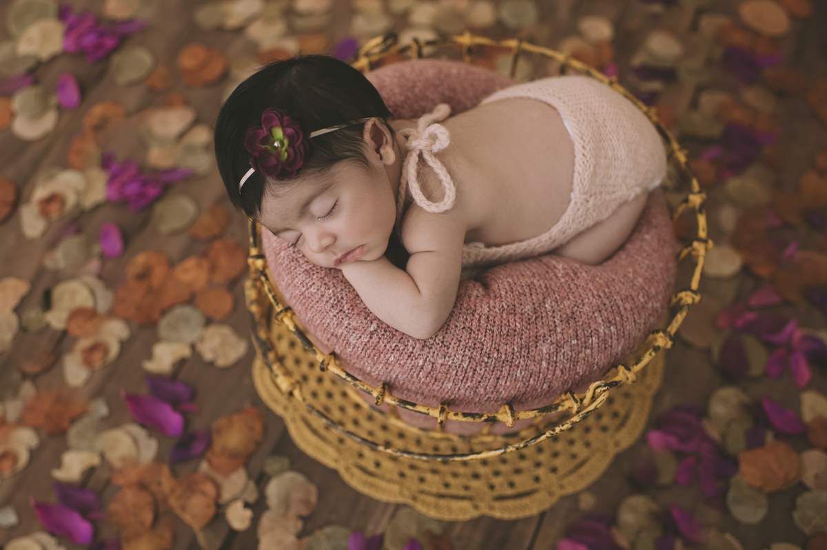 na barra da tijuca, rio de janeiro, rita rodrigues fotografia, estúdio meu sonho, barra tower offices