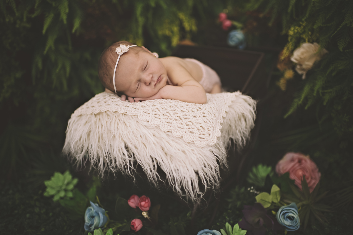 tijuca, barra tower offices, foto de recém-nascido, jardim secreto, jardim da rita, estudio meu sonho, rita rodrigues fotografia 