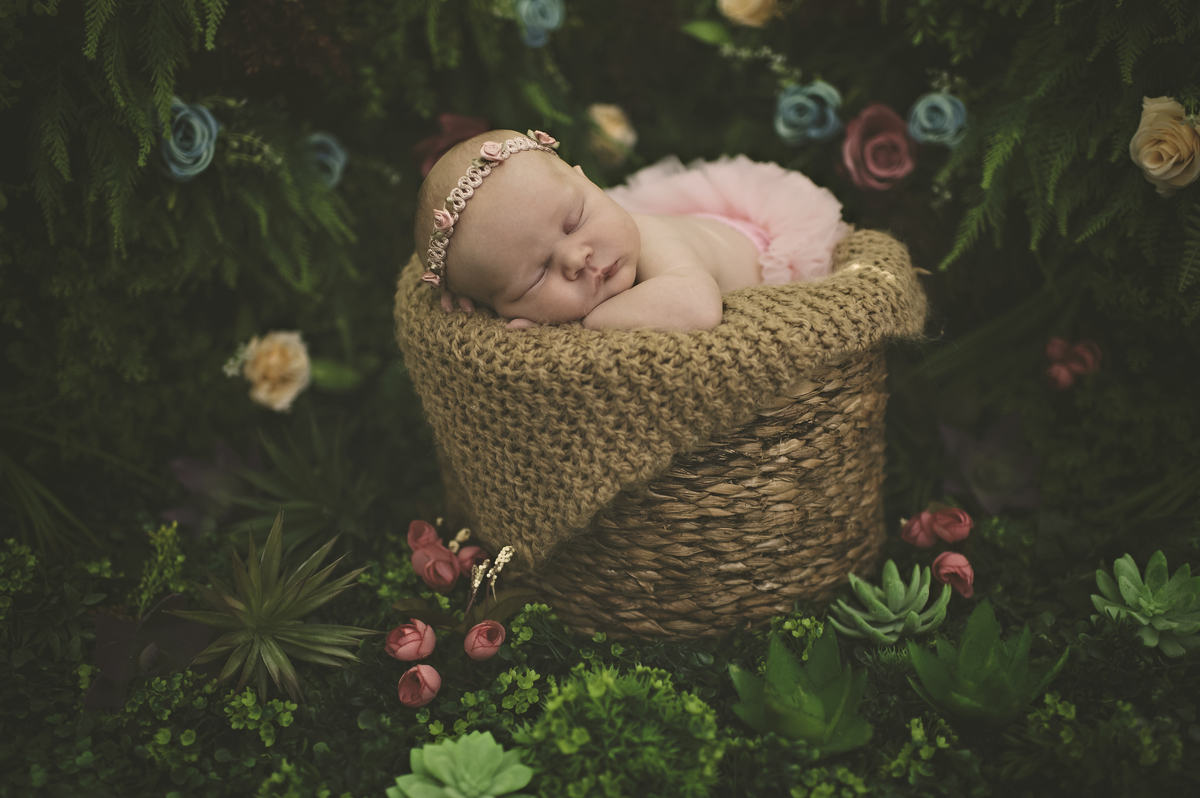 newborn, barra da tijuca, recém-nascido, foto newborn, foto de recém-nascido, fotografia de bebê na barra da tijuca, newborn barra, barra tower offices, estudio fotográfico para bebês na barra da tijuca, rita rodrigues fotografia