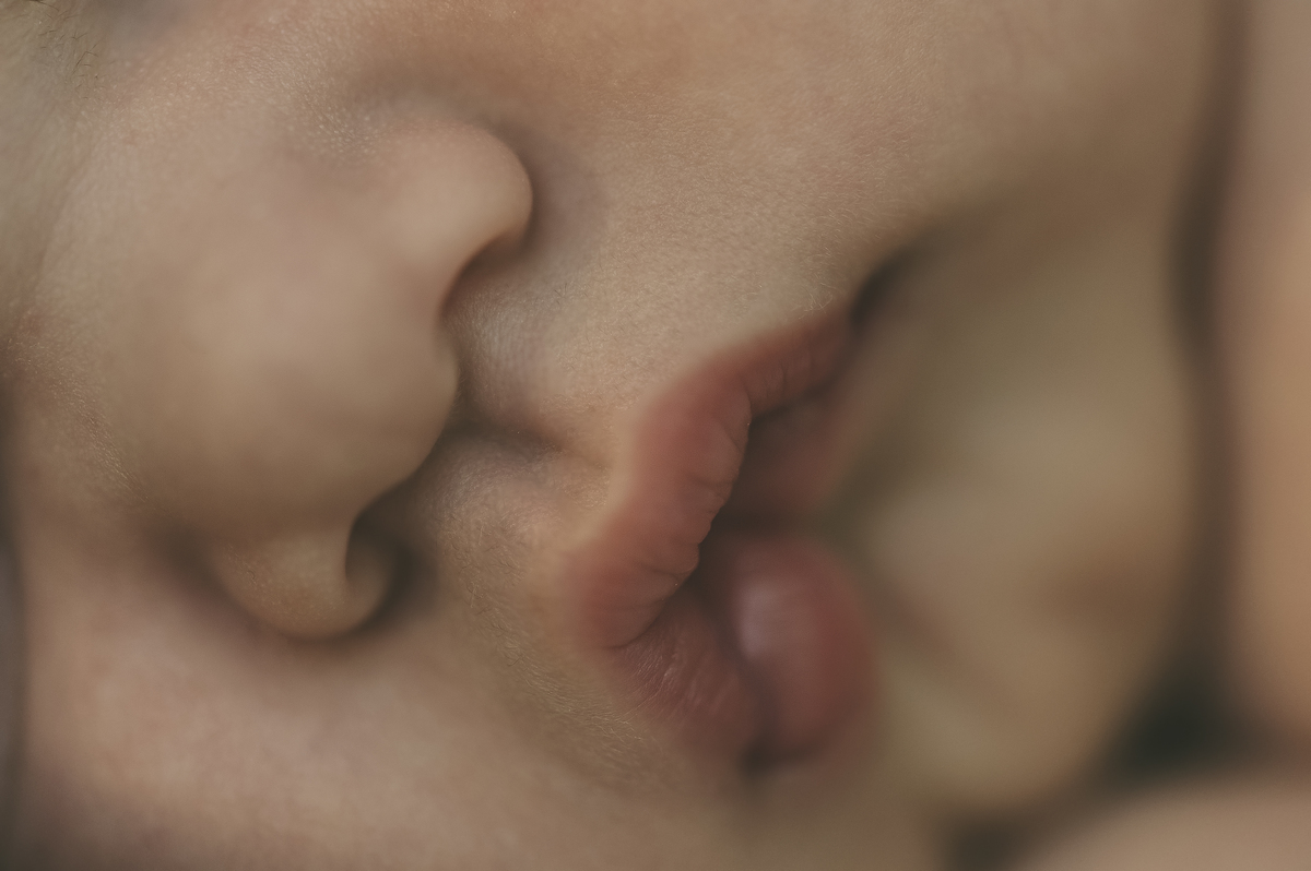 newborn, ensaio newborn, barra da tijuca, barra, recreio dos bandeirantes, estudio na barra, fotografia newborn na barra, ensaio de recém-nascido, foto de recém-nascido barra da tijuca, barra tower offices, rita rodrigues fotografia, macro, detalhes