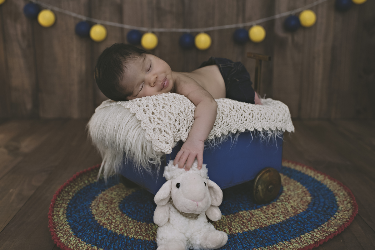 newborn barra da tijuca, ensaio newborn na barra da tijuca, foto de bebê na barra da tijuca, fotografia de recém-nascido na barra da tijuca, barra tower offices, rita rodrigues fotografia, newborn, barra da tijuca, recreio dos bandeirantes, estúdio barra