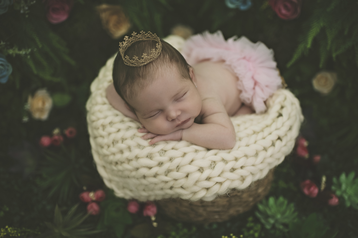 foto newborn, ensaio newborn barra da tijuca, newborn barra, foto de recém-nascido barra da tijuca, foto de bebê, fotografia de bebê, estúdio para bebês na barra, barra tower offices, rita rodrigues fotografia, newborn, barra da tijuca, jardim secreto