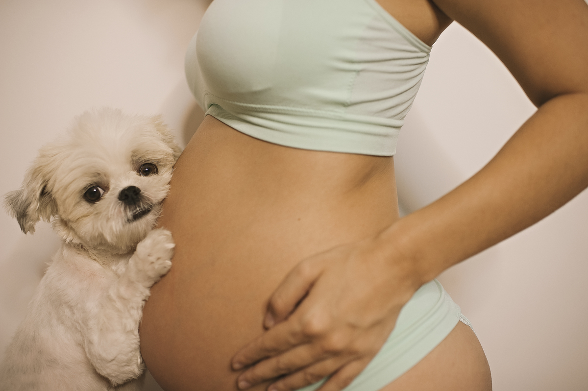 gestante, ensaio de gestante, gestante elegante, gestante barra da tijuca, gestante em casa, gestante de lingerie, gestante sensual, fotos de gestante na barra da tijuca, fotos de gestante no recreio, ensaio de gestante em hotel, fotos de gestante com pet