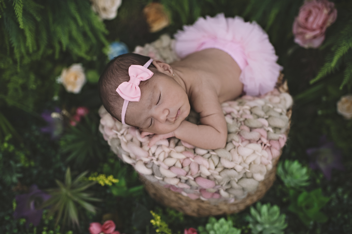 newborn barra da tijuca, ensaio newborn barra, ensaio de recém-nascido, abfrn, rita rodrigues fotografia, barra da tijuca, foto de bebê, foto de recém-nascido, rita kessler. jardim secreto, jardim encantado, fotos no jardim, jardim da rita