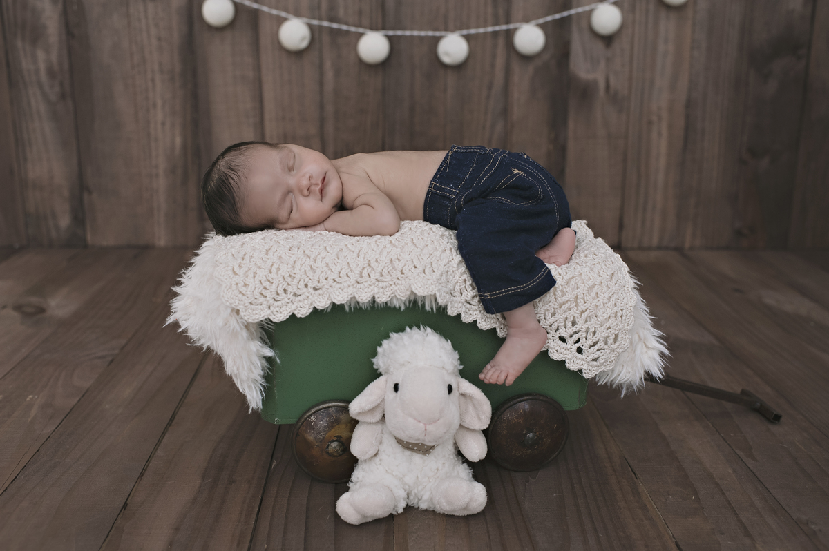 ensaio newborn barra da tijuca, newborn barra, foto de recém-nascido barra da tijuca, estudio newborn na barra da tijuca, foto de bebê, ensaio de recém-nascido, rita rodrigues, rita kessler, estudio meu sonho, fotografia newborn, recém-nascidos