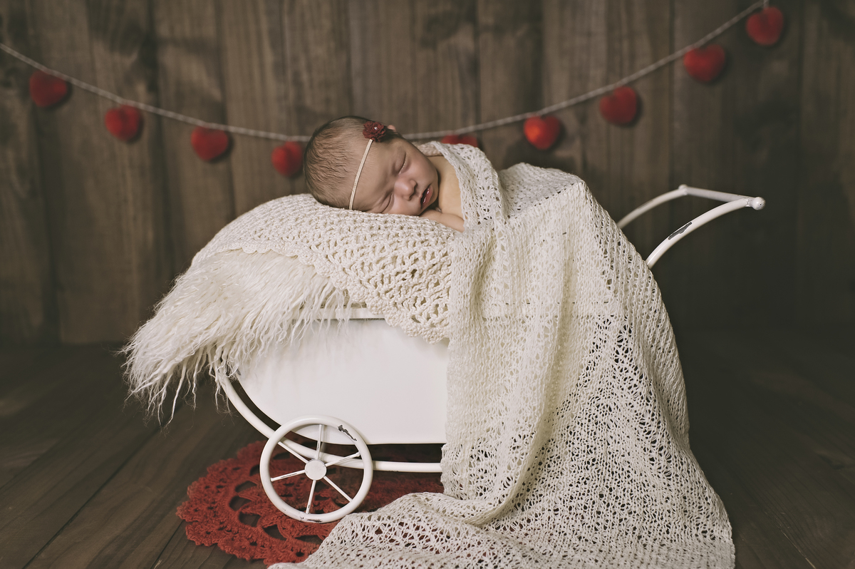 workshop, workshop básico de fotografia newborn, workshop de fotografia newborn barra da tijuca, abfrn, segurança em primeiro lugar, embaixadora da abfrn no Rio de janeiro, estúdio newborn na barra da tijuca, fotografia newborn, rita rodrigues fotografia