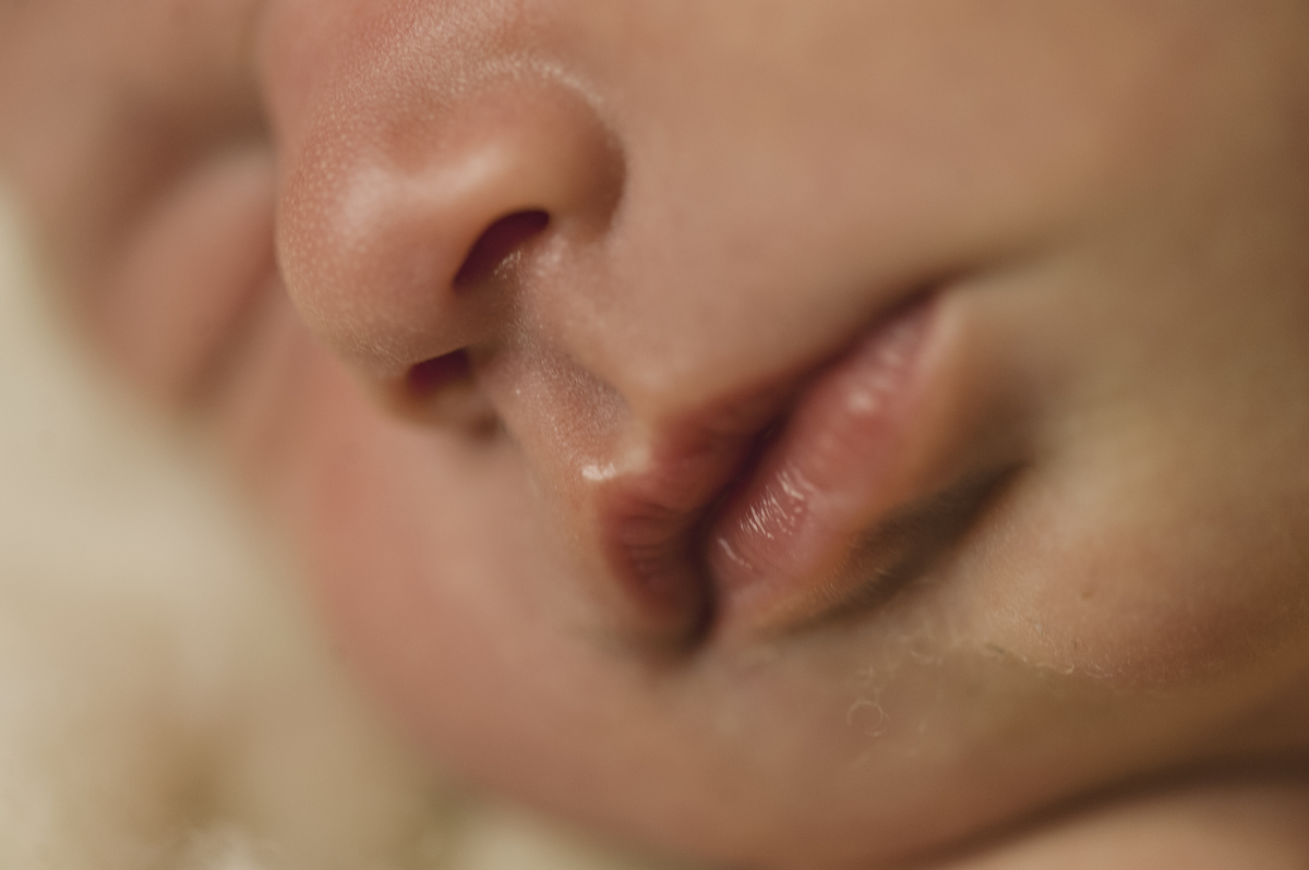 workshop, workshop básico de fotografia newborn, workshop de fotografia newborn barra da tijuca, abfrn, segurança em primeiro lugar, embaixadora da abfrn no Rio de janeiro, estúdio newborn na barra da tijuca, fotografia newborn, rita rodrigues fotografia