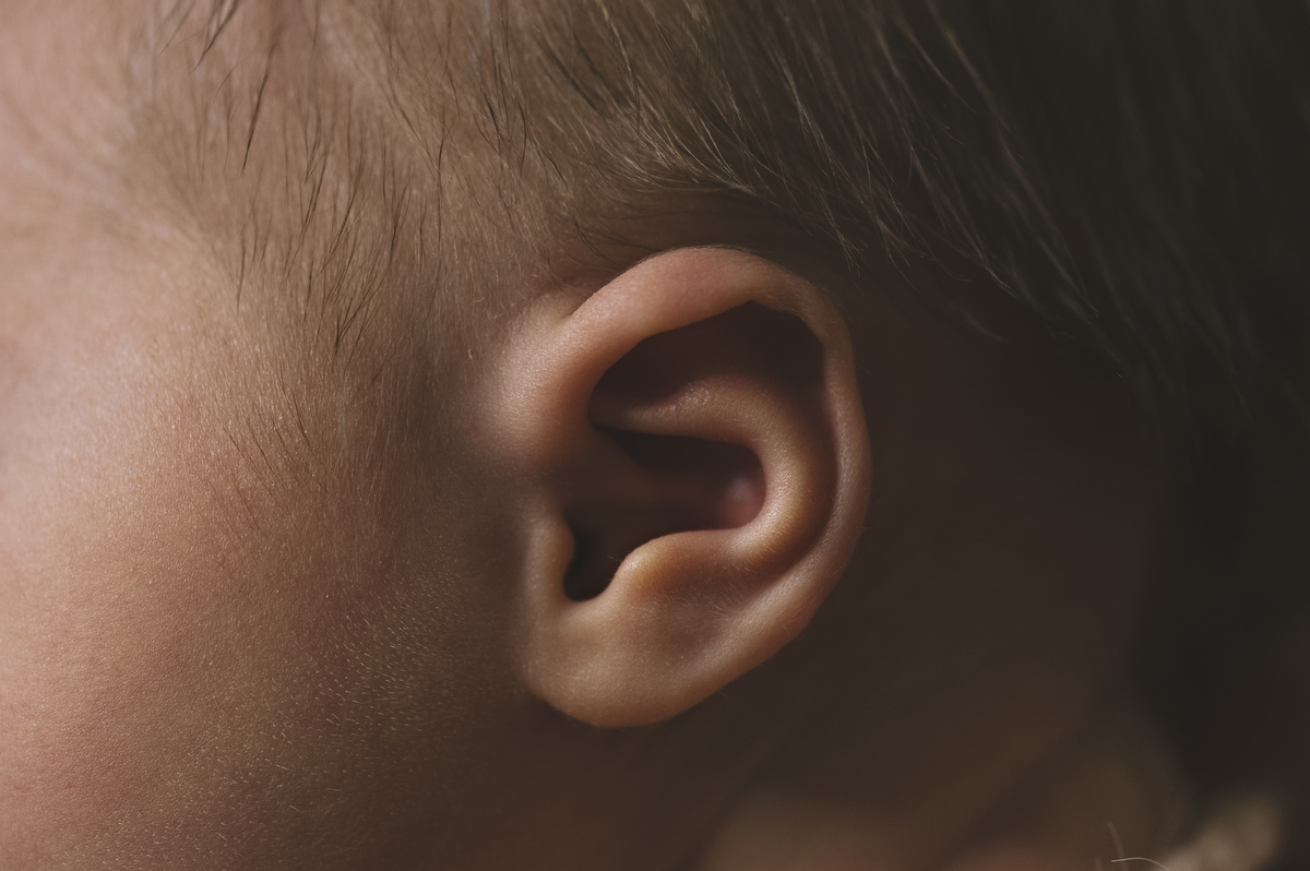 workshop, workshop básico de fotografia newborn, workshop de fotografia newborn barra da tijuca, abfrn, segurança em primeiro lugar, embaixadora da abfrn no Rio de janeiro, estúdio newborn na barra da tijuca, fotografia newborn, rita rodrigues fotografia