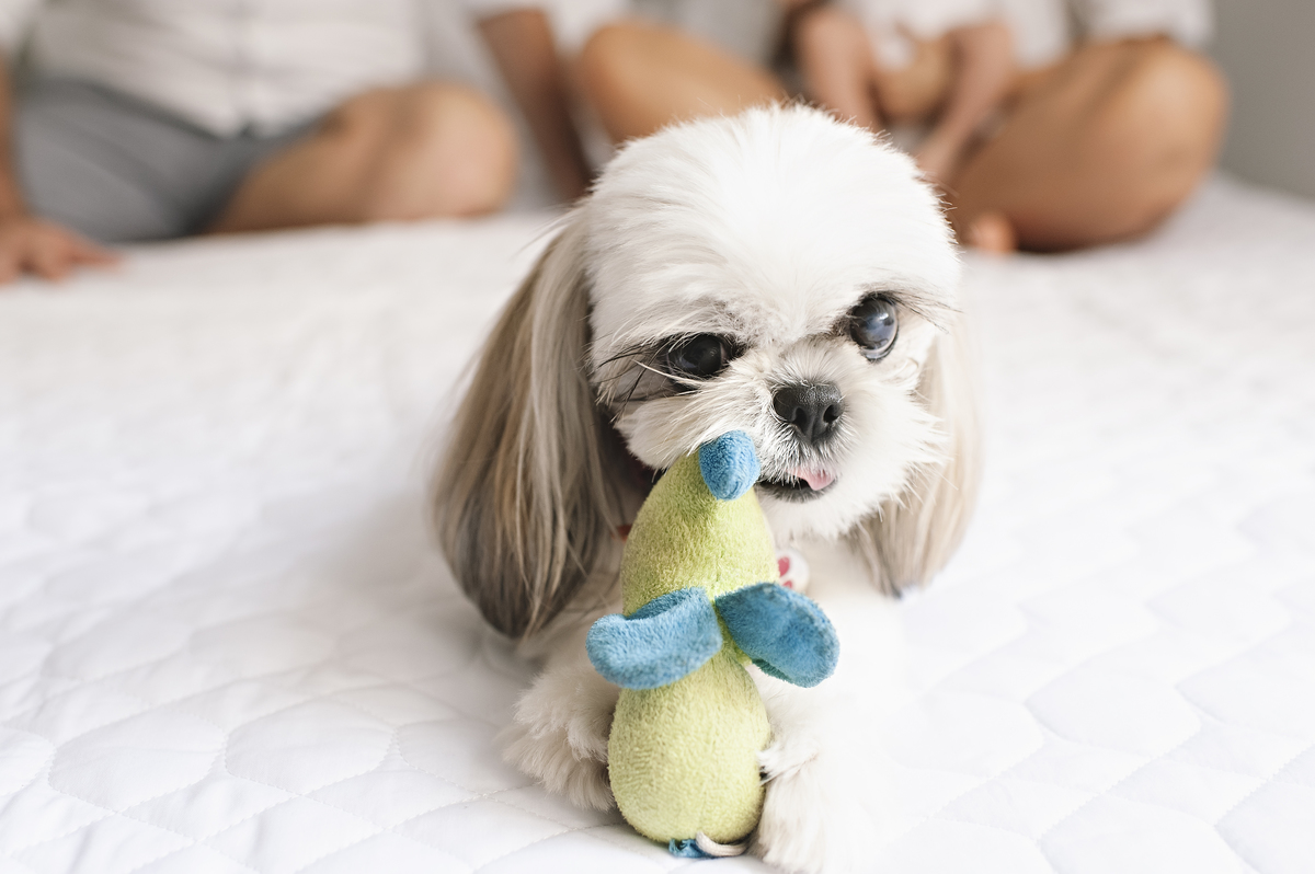 ensaio lifestyle, lifestyle barra da tijuca, lifestyle recreio, lifestyle leblon, lifestyle ipanema, fotos de bebê, fotos em casa, fotos de bebê em casa, ensaio de família, maternidade, fotógrafa newborn Barra da Tijuca, melhor fotógrafa newborn, abfrn