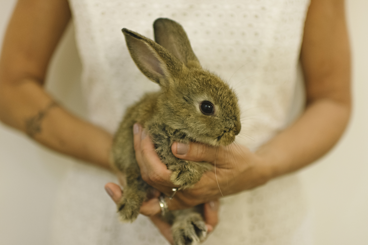 páscoa, sessão de páscoa, mini sessão de páscoa, mascote, fotografia infantil, ensaio de páscoa na barra, estúdio fotográfico infantil na barra da tijuca, páscoa com coelhinho, foto com coelhinho, rita rodrigues fotografia