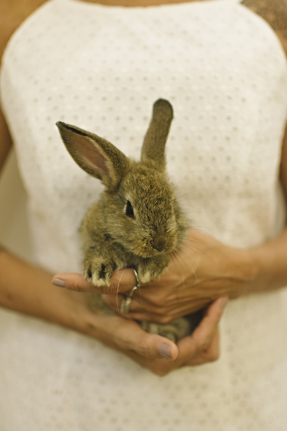 páscoa, sessão de páscoa, mini sessão de páscoa, mascote, fotografia infantil, ensaio de páscoa na barra, estúdio fotográfico infantil na barra da tijuca, páscoa com coelhinho, foto com coelhinho, rita rodrigues fotografia 