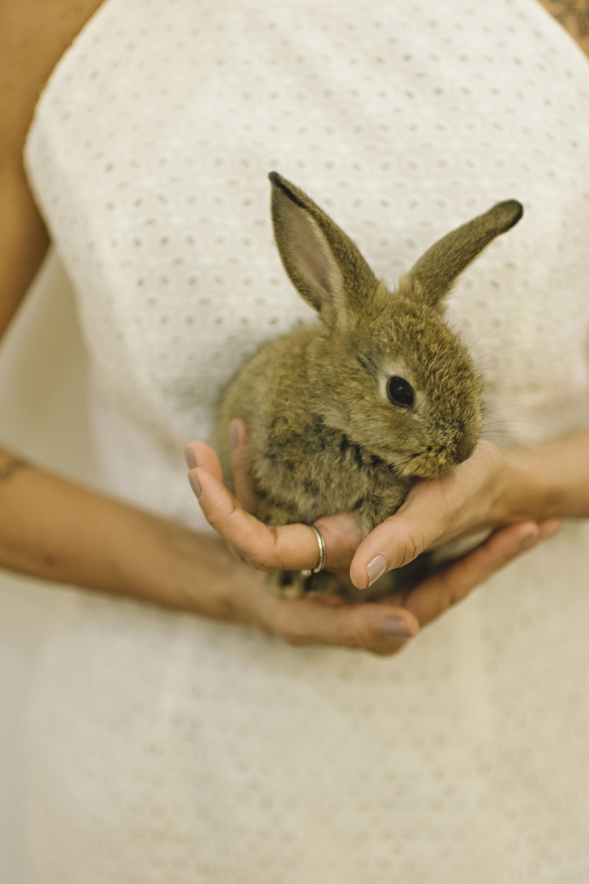 páscoa, sessão de páscoa, mini sessão de páscoa, mascote, fotografia infantil, ensaio de páscoa na barra, estúdio fotográfico infantil na barra da tijuca, páscoa com coelhinho, foto com coelhinho, rita rodrigues fotografia 