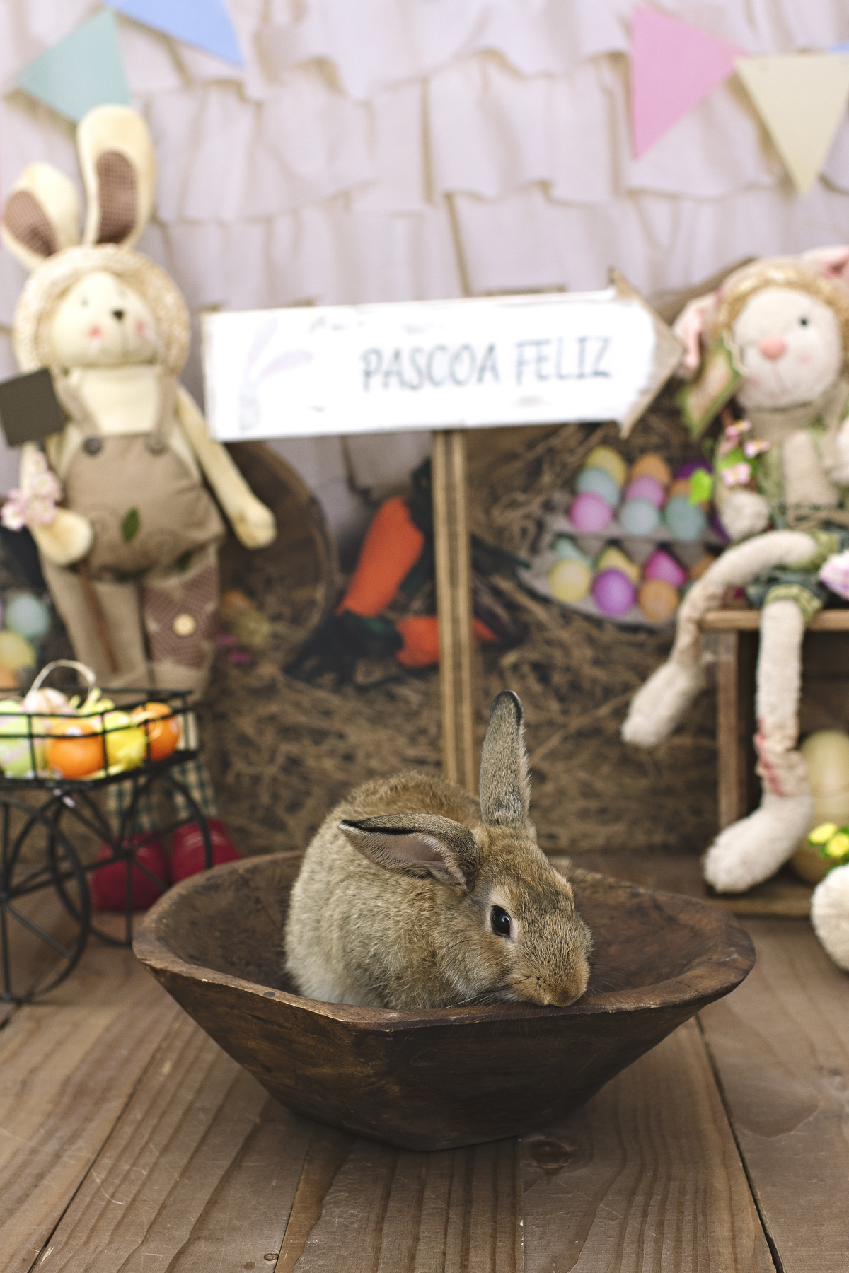 páscoa, mini sessão de páscoa, ensaio de páscoa, fotos de páscoa, fotografia infantil, foto de bebê, fotografia infantil na barra da tijuca, rita rodrigues fotografia, melhor fotógrafa infantil no rio de janeiro, melhor fotógrafa na barra da tijuca