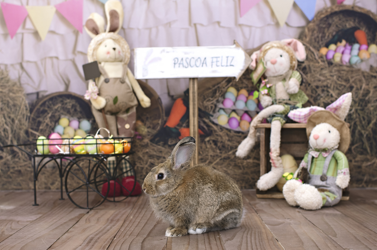 páscoa, mini sessão de páscoa, ensaio de páscoa, fotos de páscoa, fotografia infantil, foto de bebê, fotografia infantil na barra da tijuca, rita rodrigues fotografia, melhor fotógrafa infantil no rio de janeiro, melhor fotógrafa na barra da tijuca
