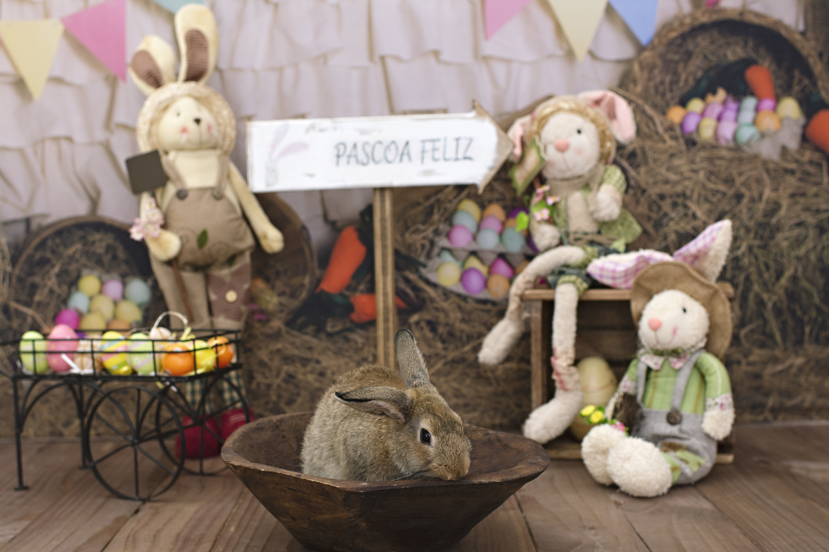 páscoa, mini sessão de páscoa, ensaio de páscoa, fotos de páscoa, fotografia infantil, foto de bebê, fotografia infantil na barra da tijuca, rita rodrigues fotografia, melhor fotógrafa infantil no rio de janeiro, melhor fotógrafa na barra da tijuca